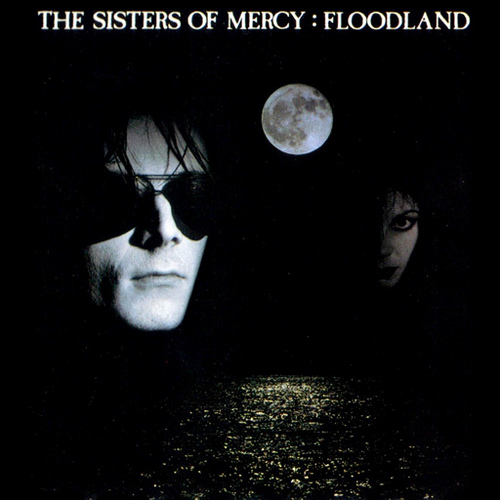 ザ・シスターズ・オブ・マーシー『Floodland』新品未開封プロモ盤 Retrospective: The Sisters of Mercy – Floodland – Nine Circles