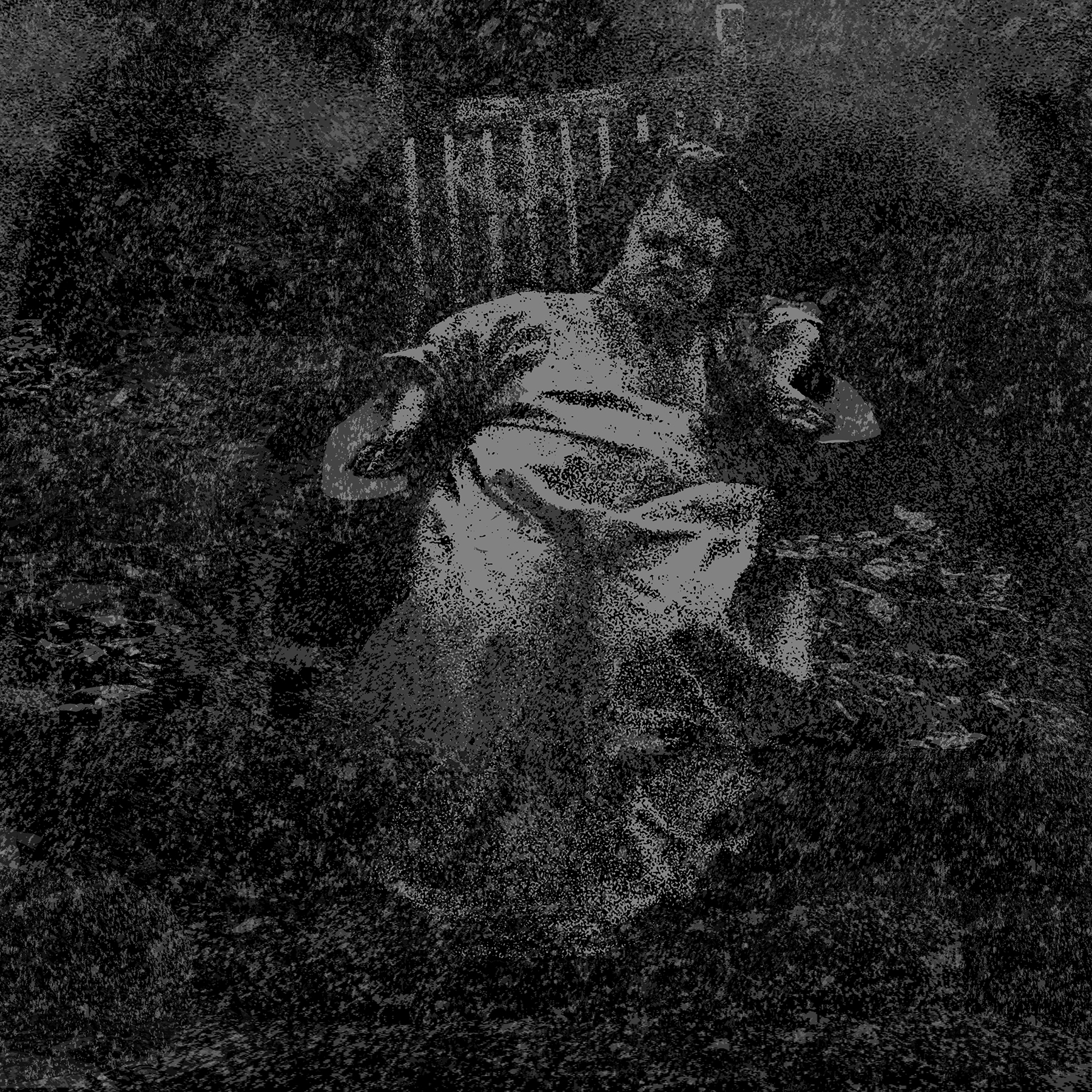 Album Review: Primitive Man/Northless Split LP