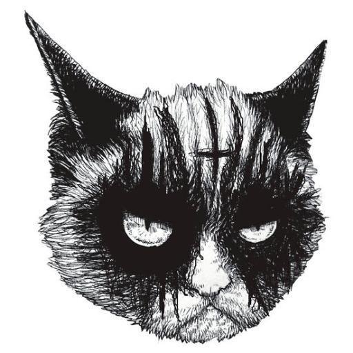 Profile: Black Metal Cats