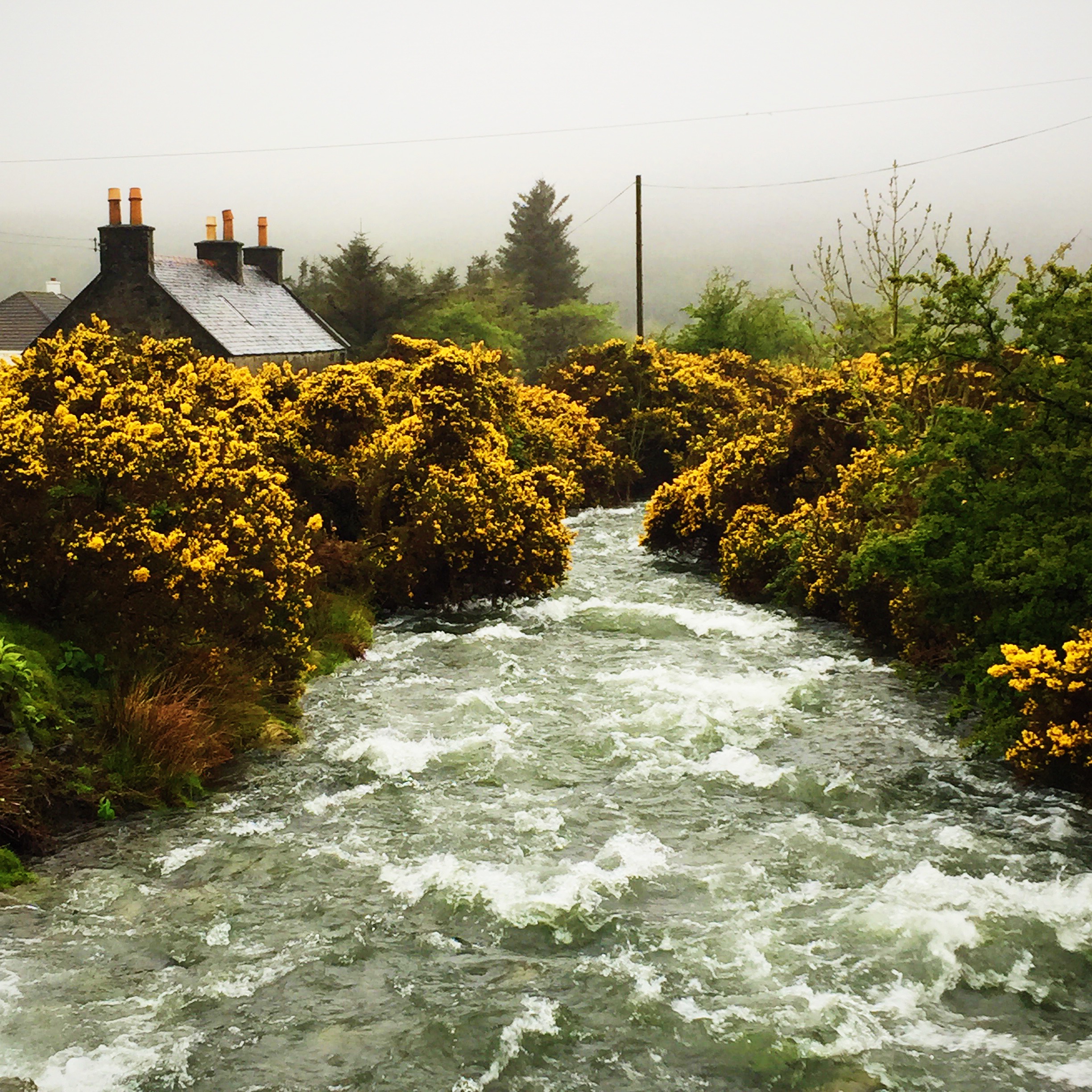 Nine Circles Ov… April 2016