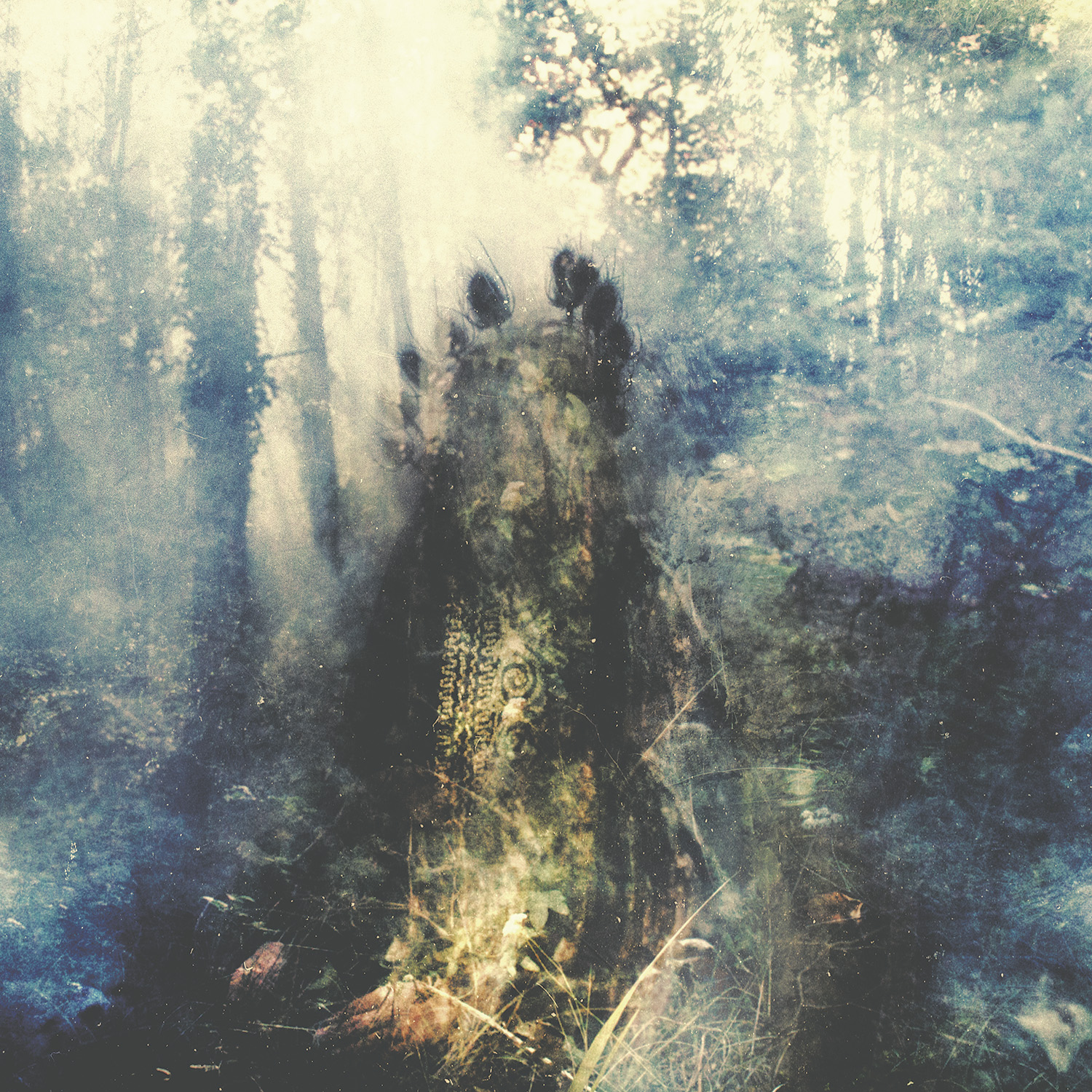 Rainbows In the Dark: Sylvaine – Wistful