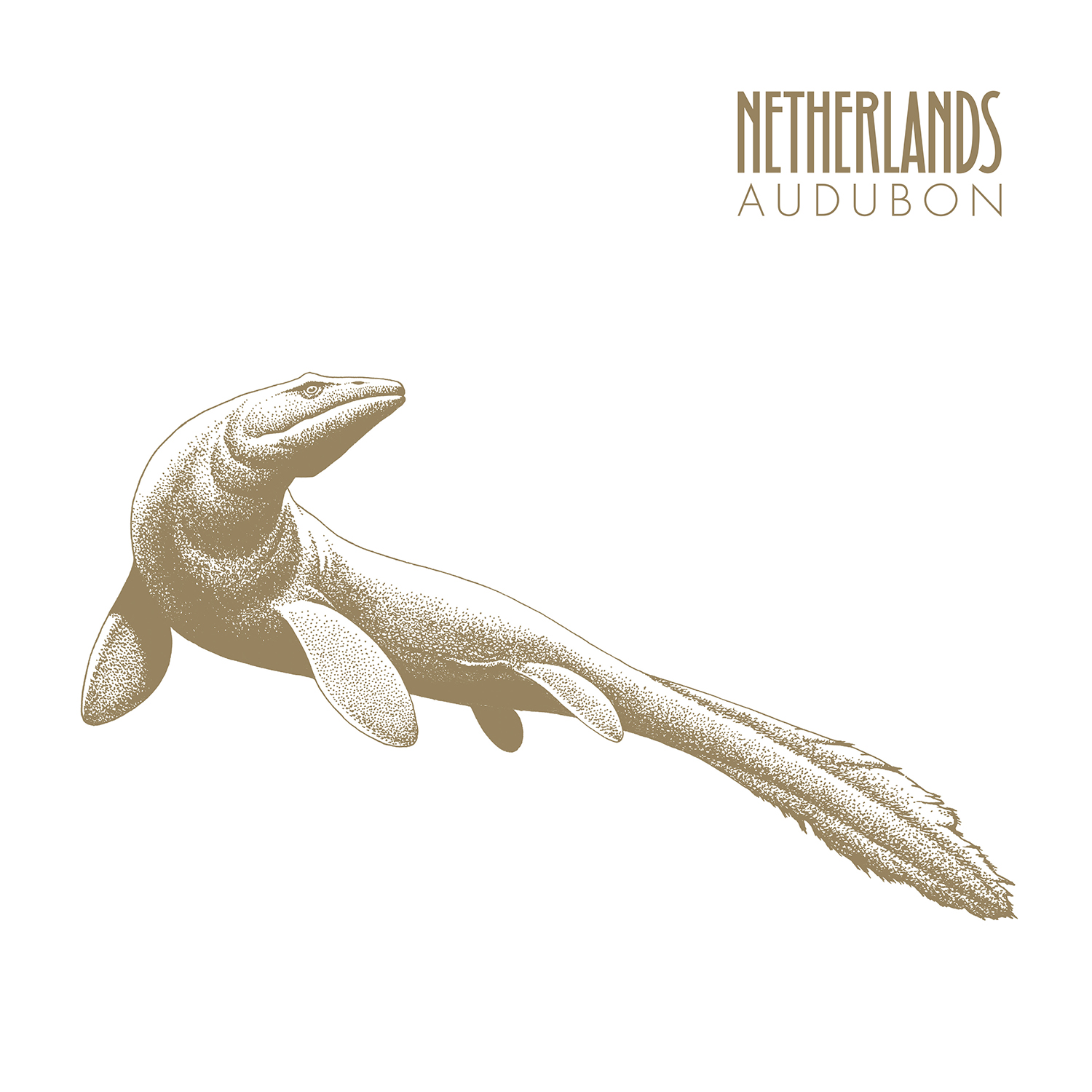 Album Review: Netherlands – Audubon