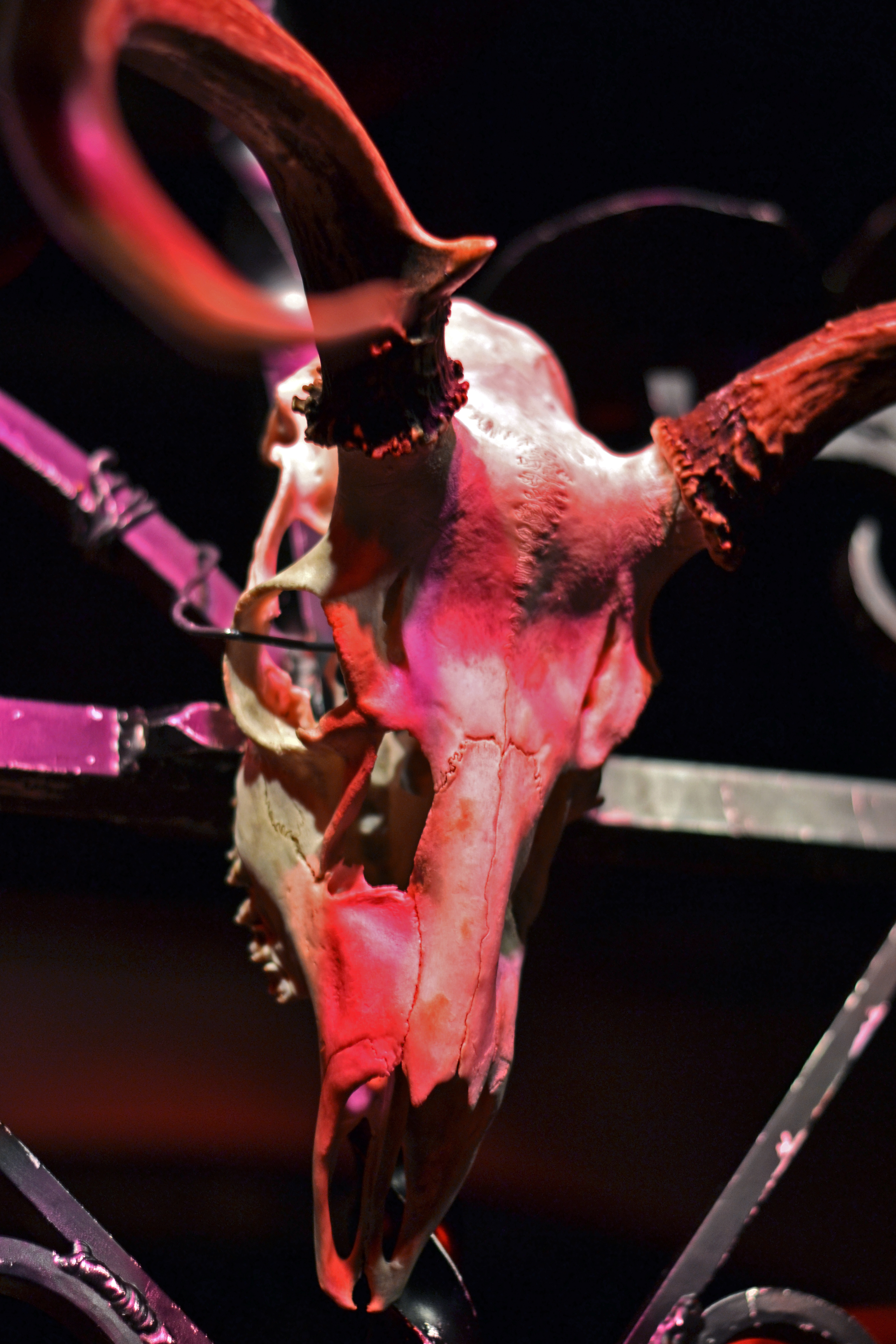 Concert Review: Dragged Into Sunlight and Primitive Man (June 30, 2016)