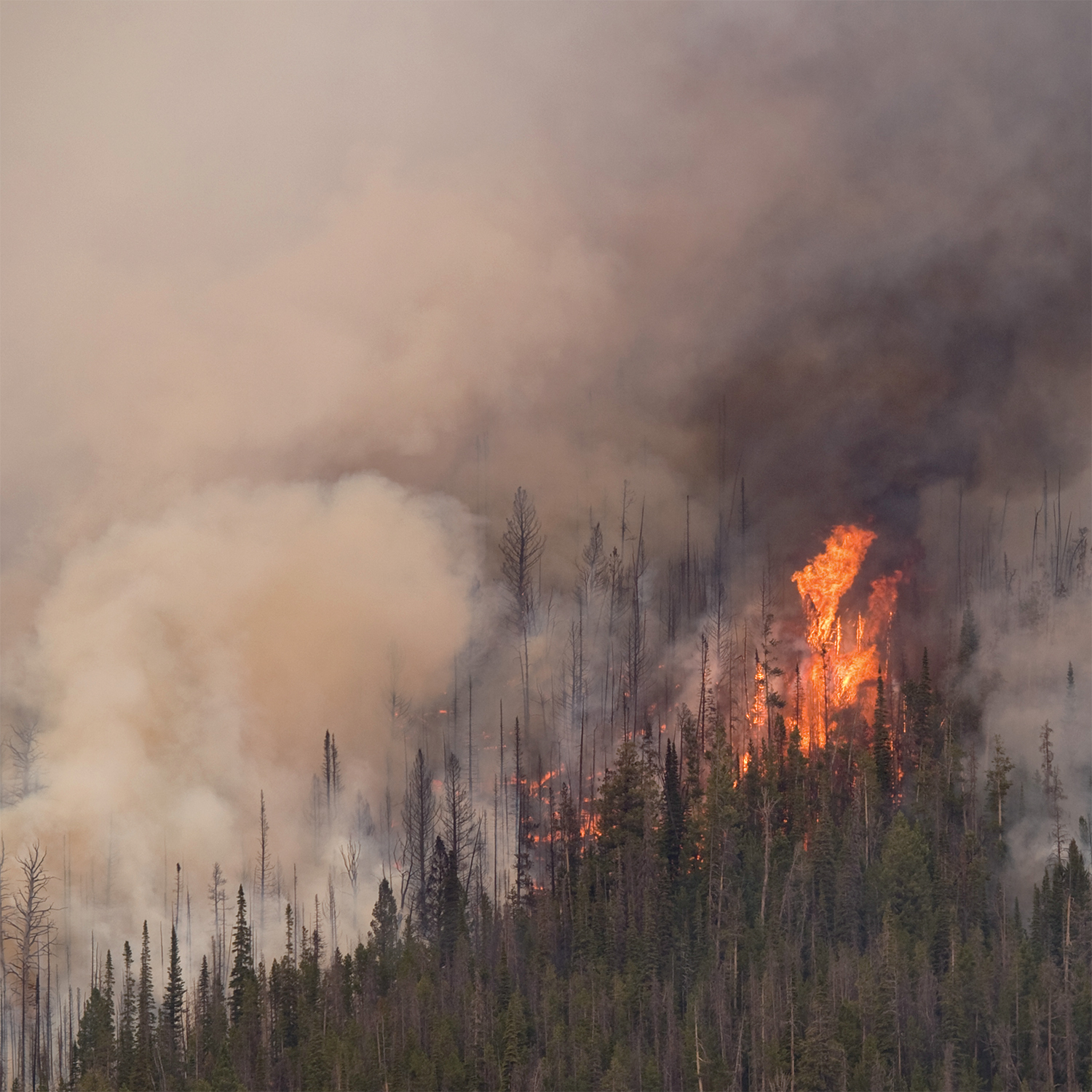 Album Review: Anicon – Exegeses