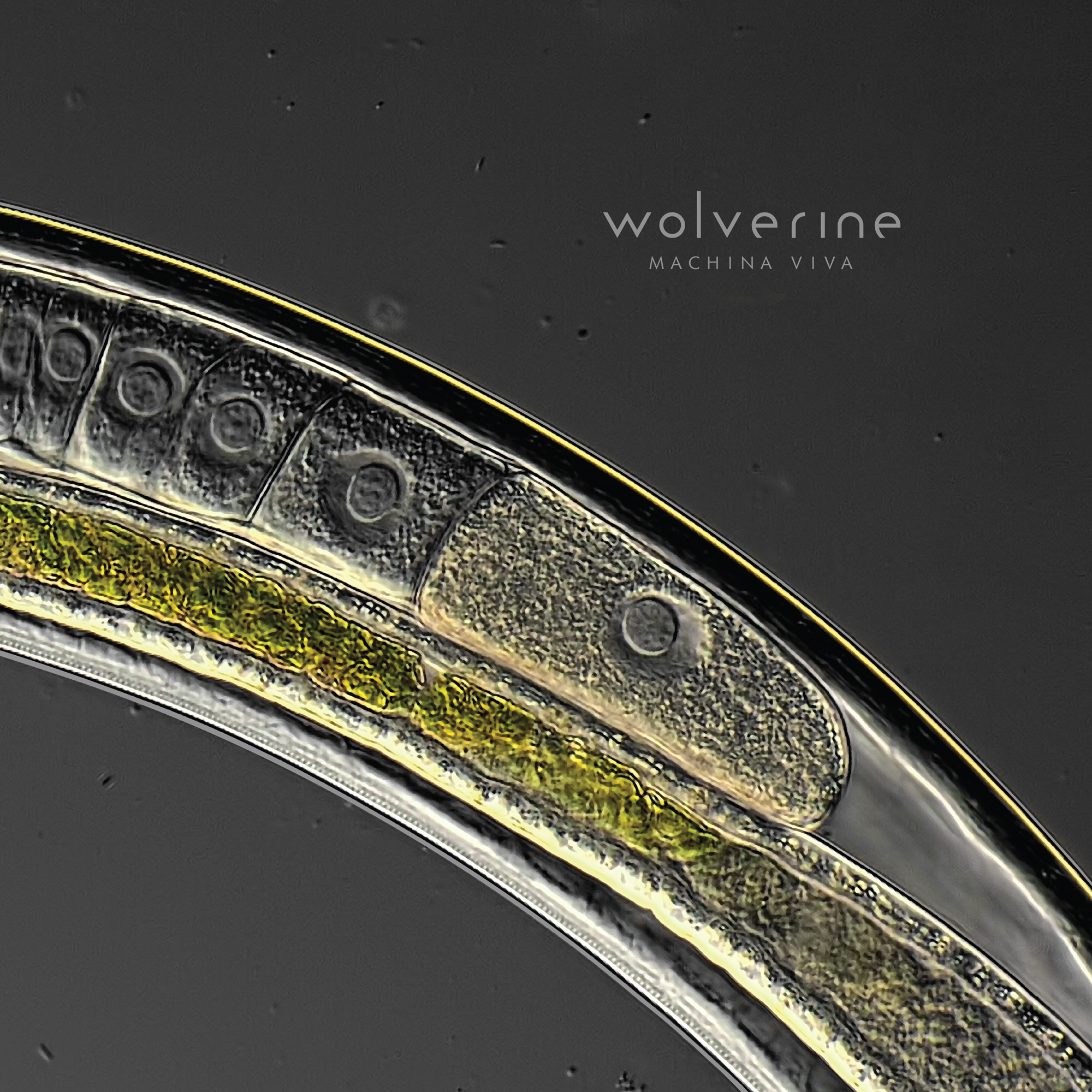 Album Review: Wolverine – Machina Viva