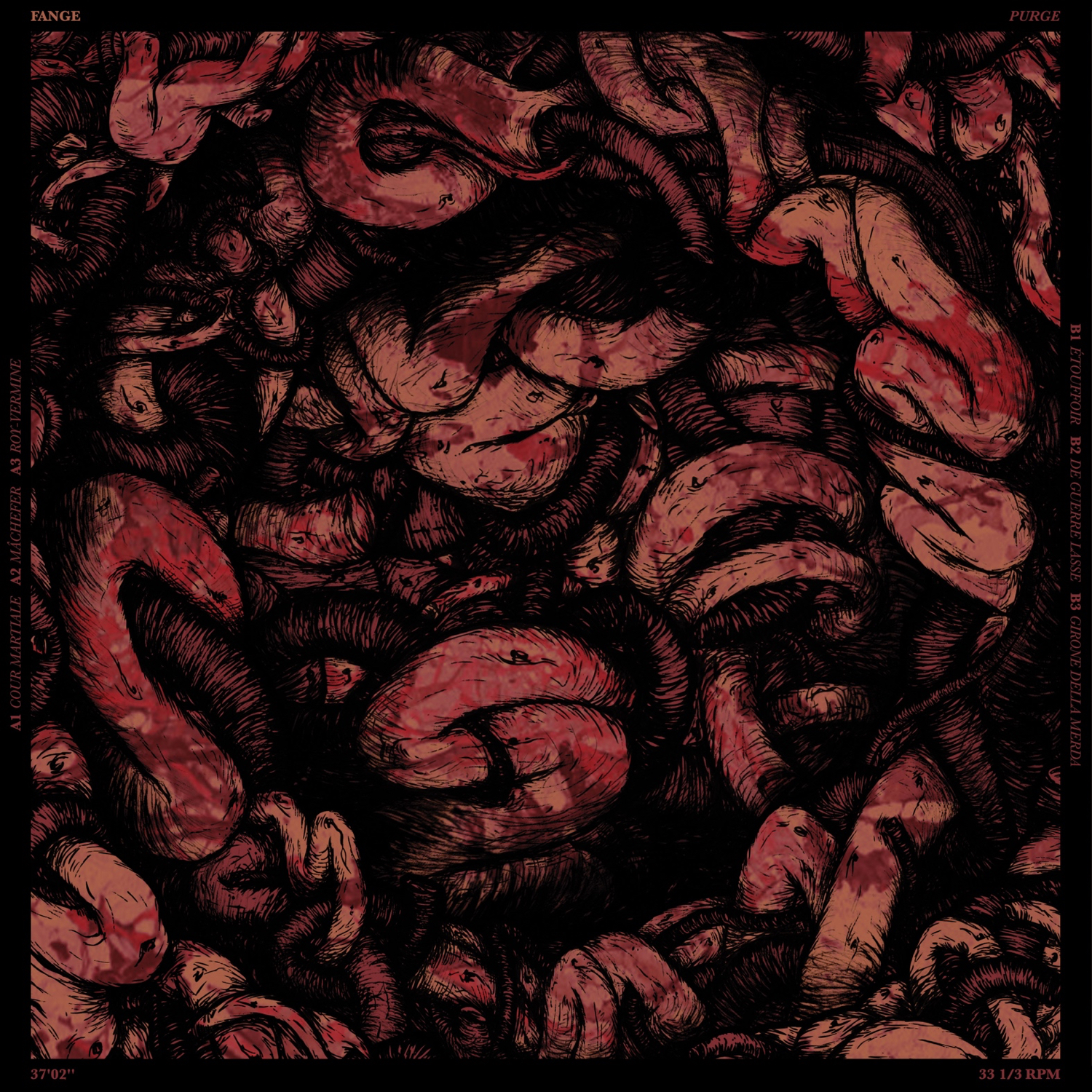 Album Review: Fange – Purge