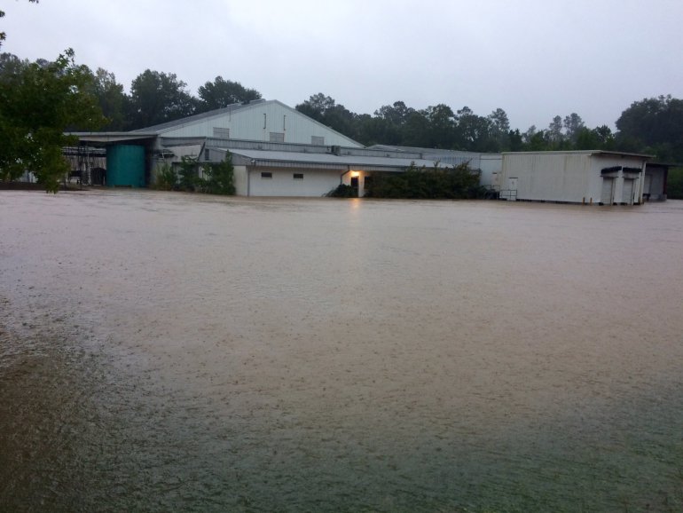 Interview: Joshua Nee of Thou, Bekki Vaden and Brenna Phares on Louisiana Flood Relief