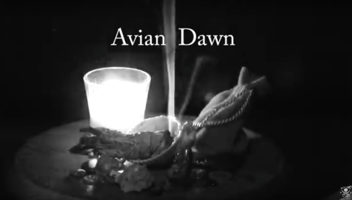 Visions ov Hell: Sourvein – “Avian Dawn”