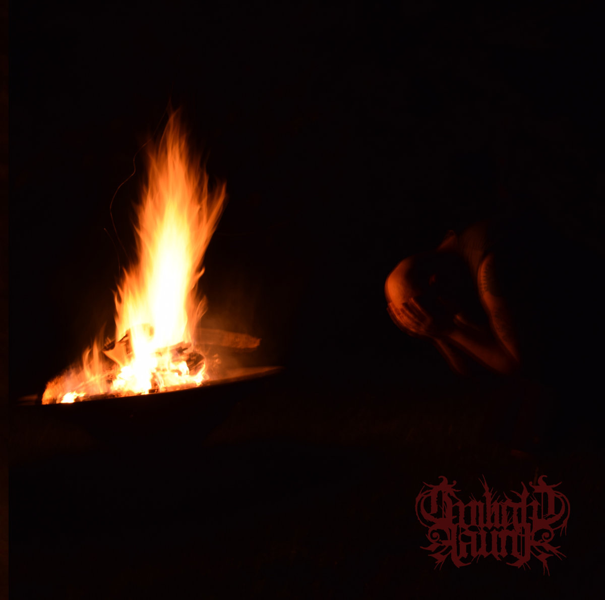 Album Review:  Twilight Fauna – The Year the Stars Fell