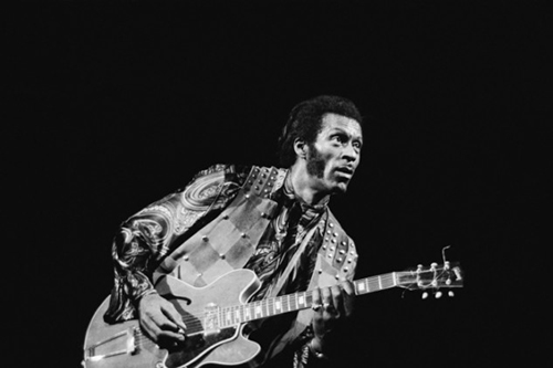 Donuts & CANTO: Chuck Berry, Wormrot, Baroness and more!