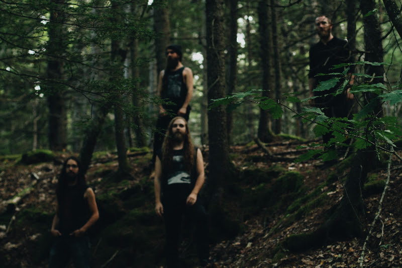 Interview: Aaron of Falls of Rauros on “Vigilance Perennial,” Sonic Construction, and Musical Identity