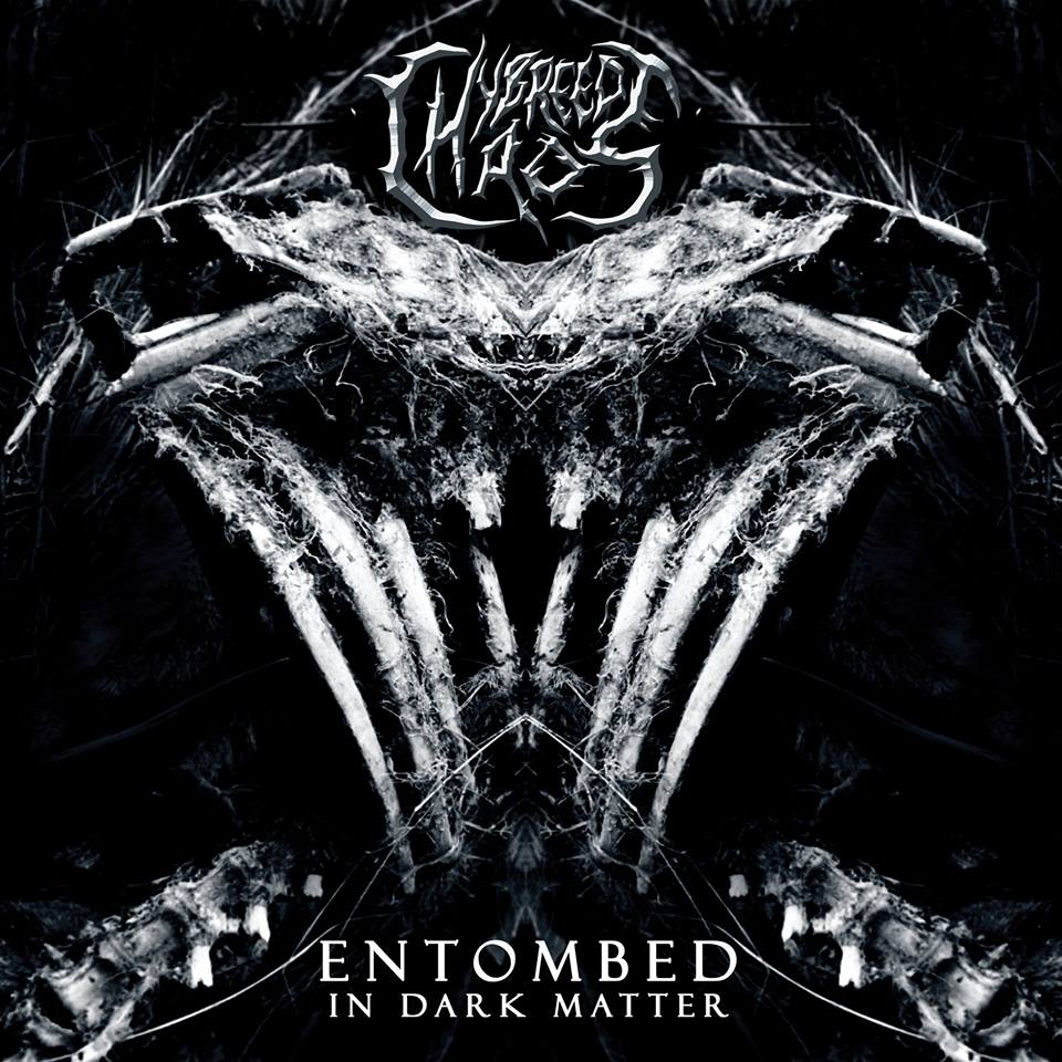 Exclusive Stream: Hybreed Chaos – “Eroded”
