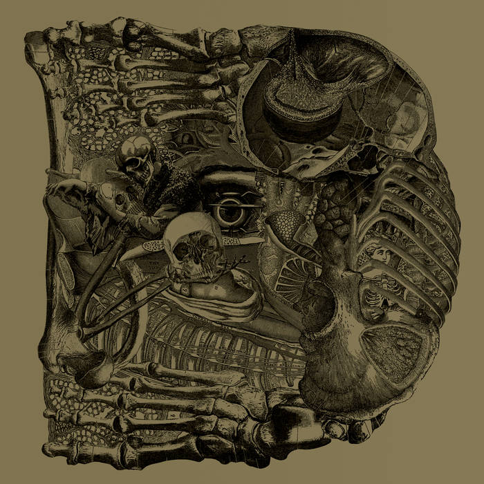 Album Review: Boris – Dear