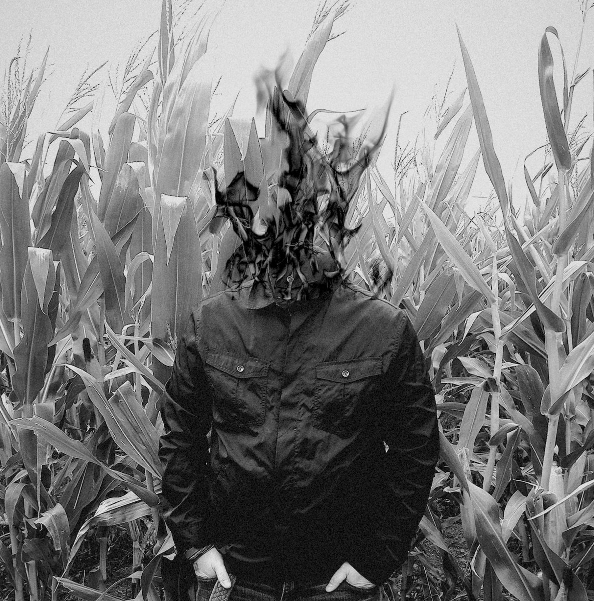 Initial Descent: August 13 – 19, 2017