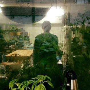 Profile: Cameron Davis of Cicada the Burrower