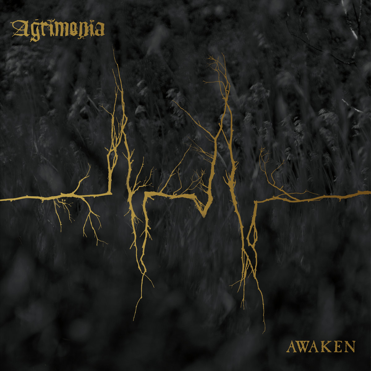 Album review: Agrimonia – Awaken