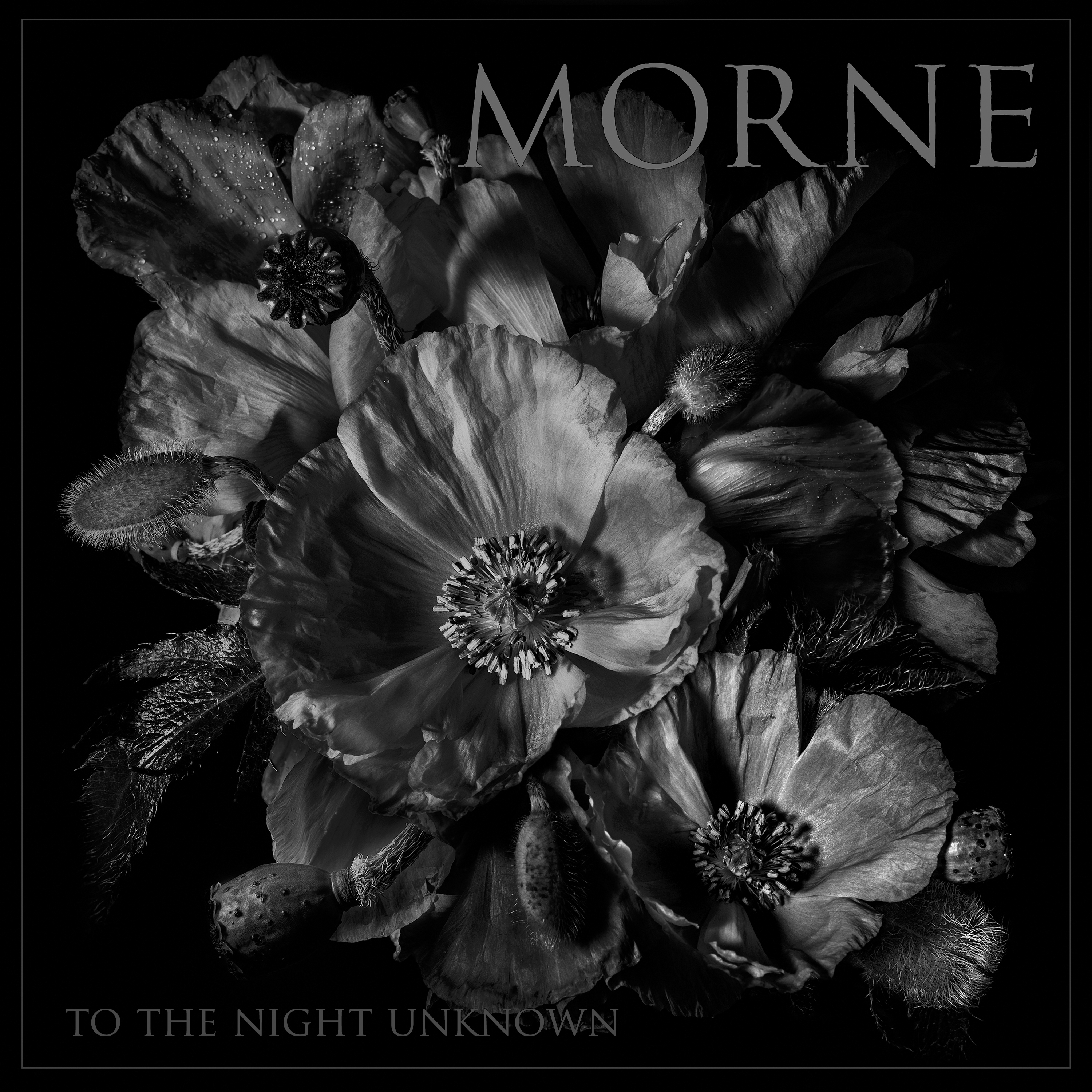Album Review: Morne – To The Night Unknown