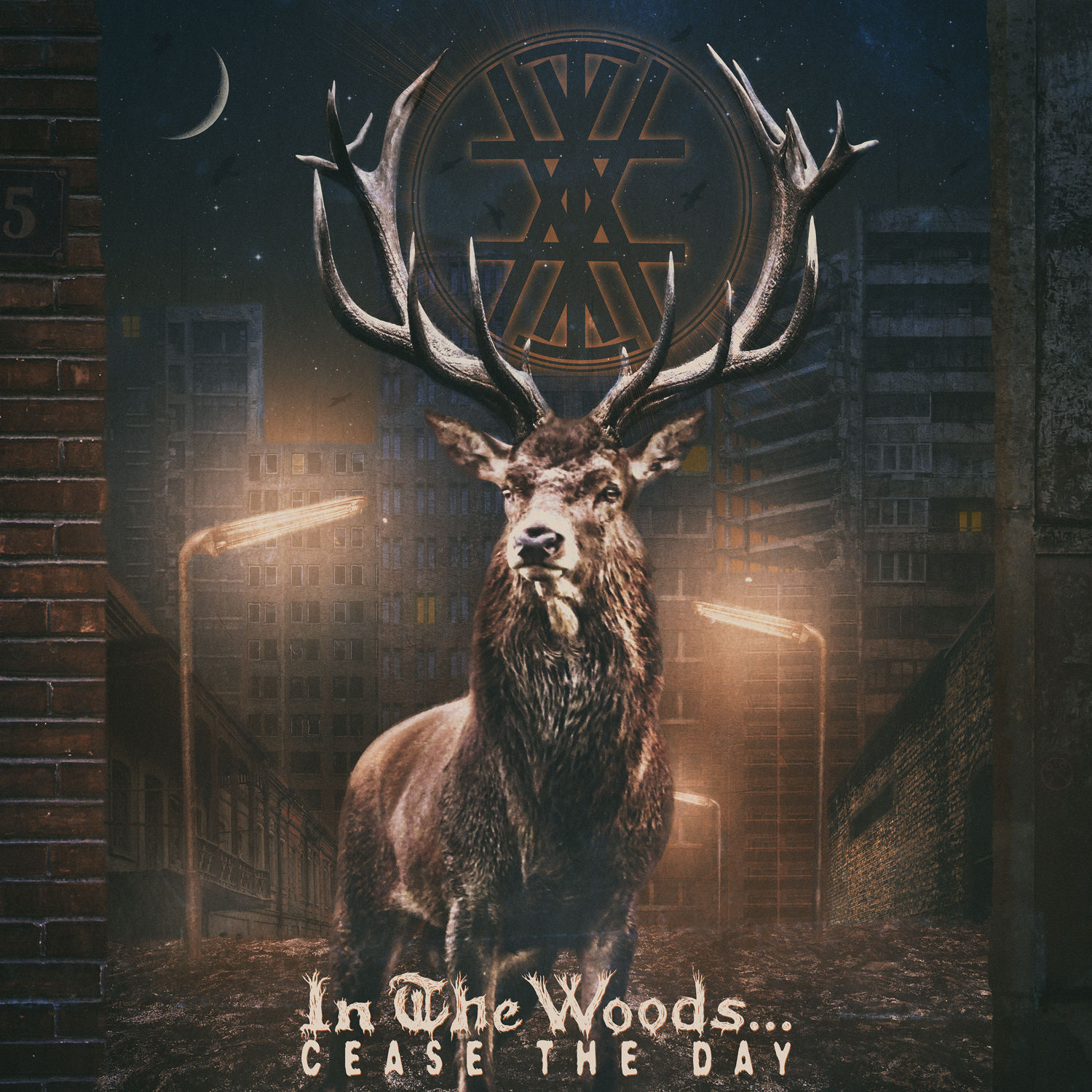 Album Review: In the Woods… – Cease the Day