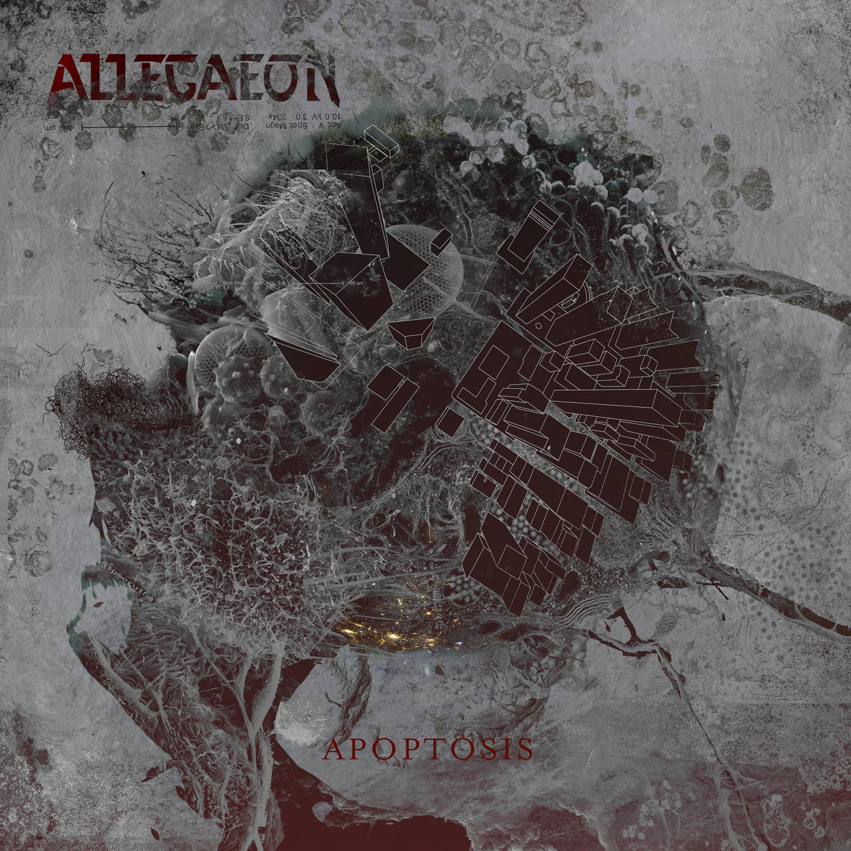 The Nine Circles Audio Thing: Allegaeon was April 2019’s Album of the Month!