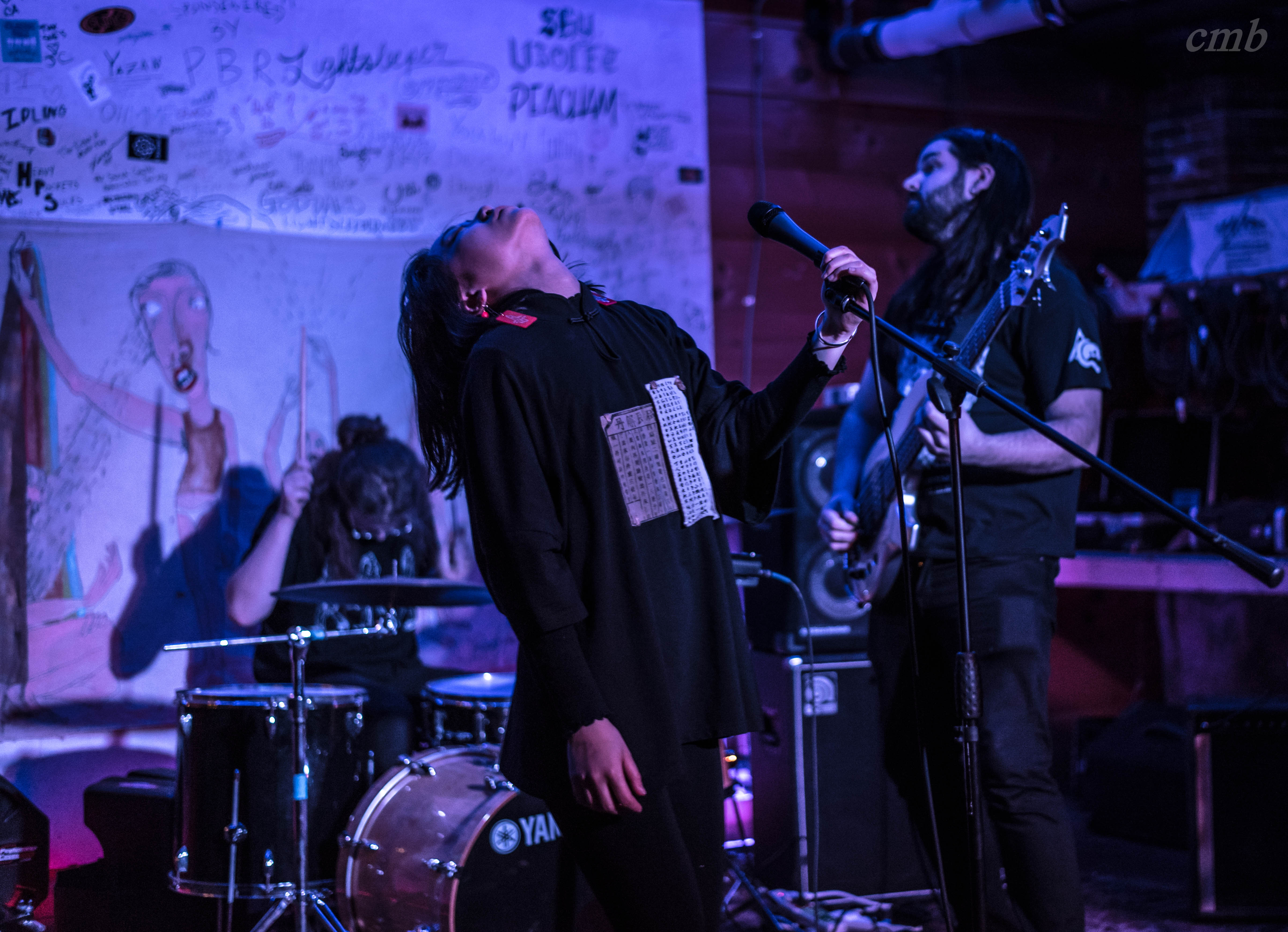 Elizabeth Colour Wheel live at Sue’s Space, 3.24.2019