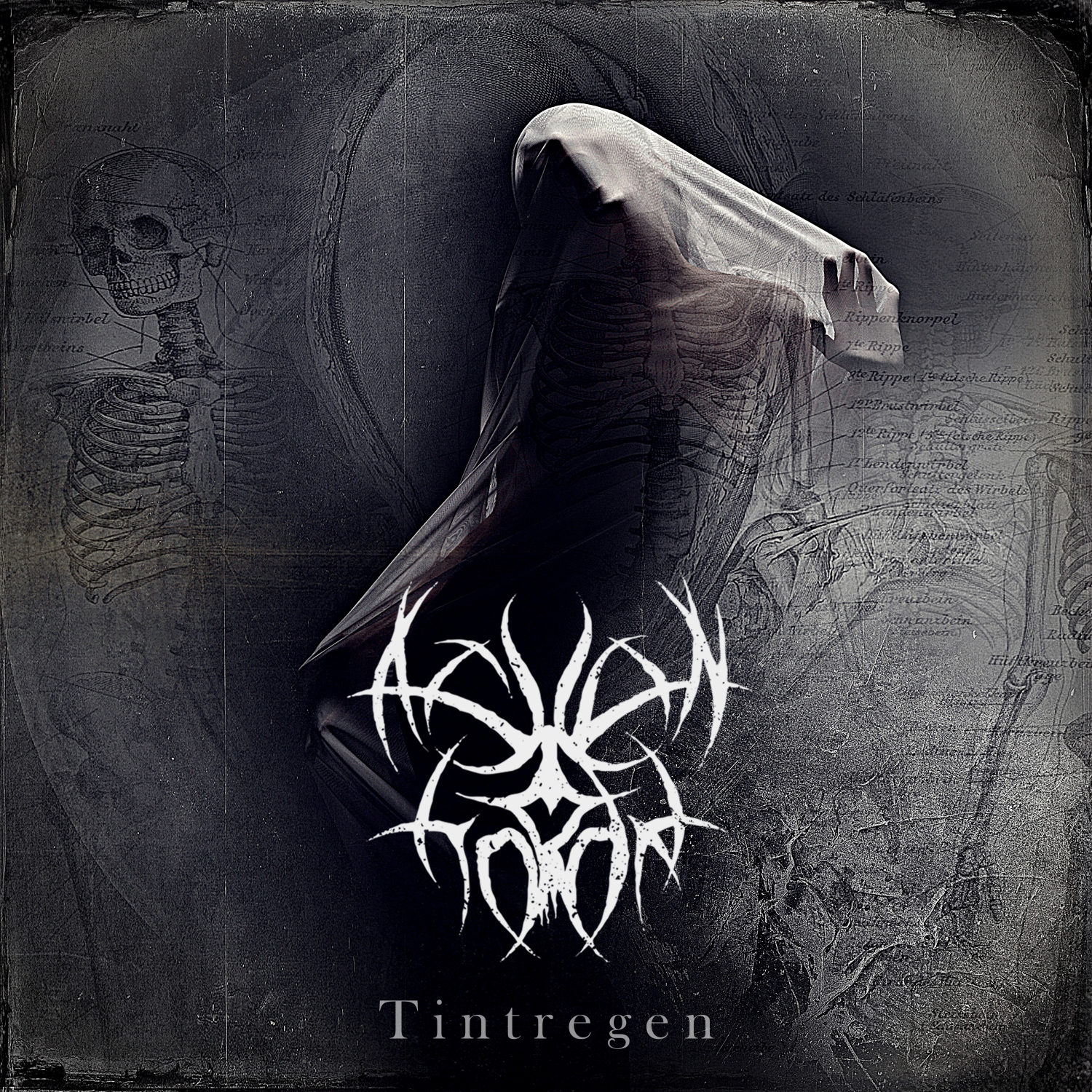 EP Review: Ashen Horde – Tintregen