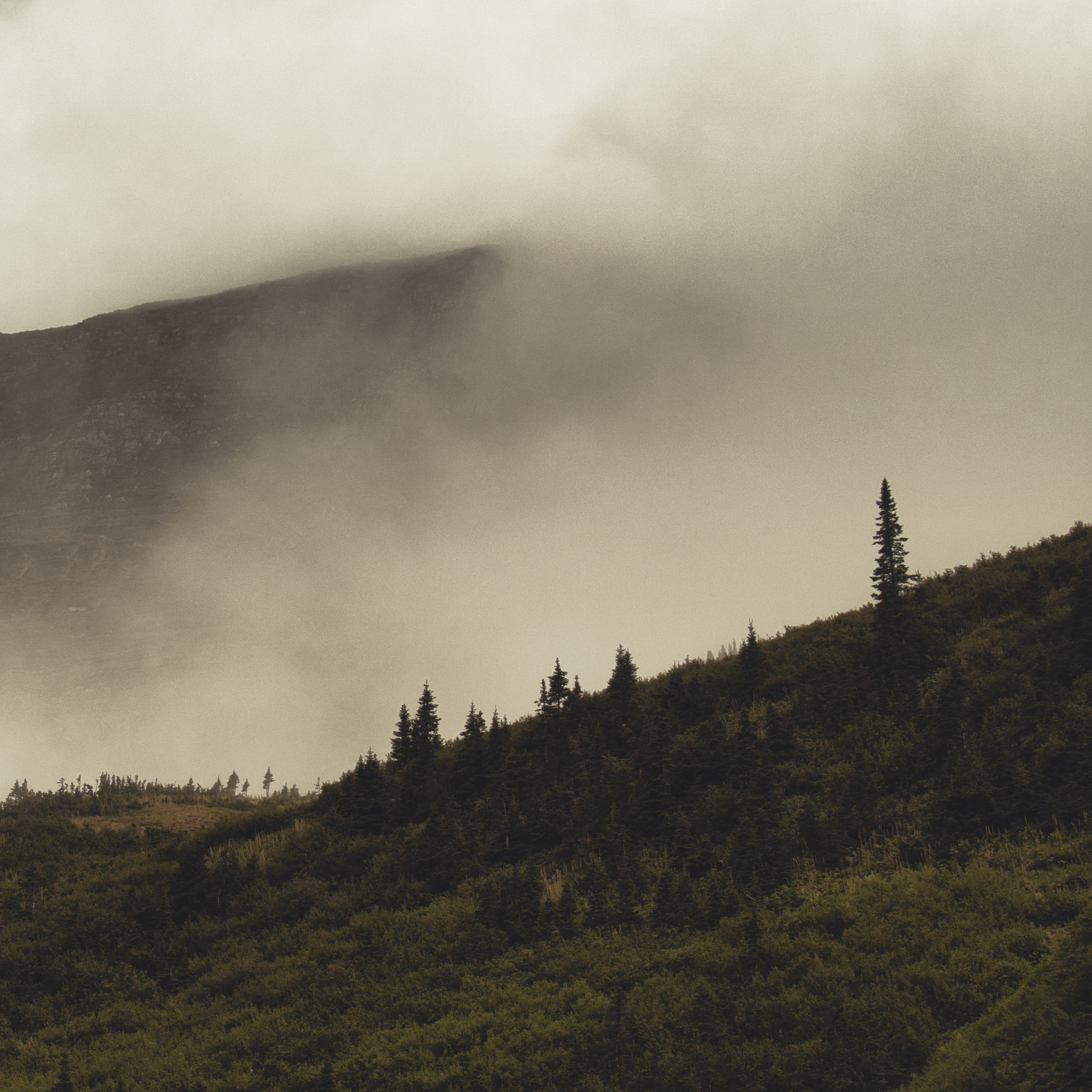 Rainbows in the Dark: Lord Buffalo — Tohu Wa Bohu