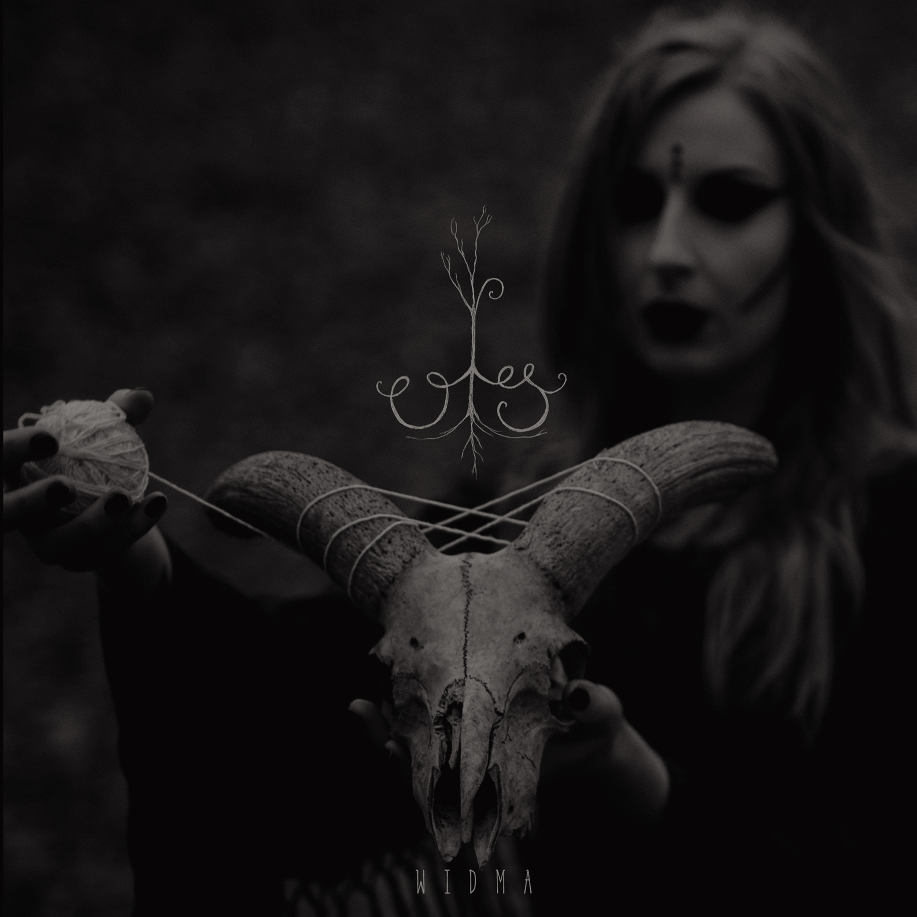 Album Premiere: Ols — “Widma”