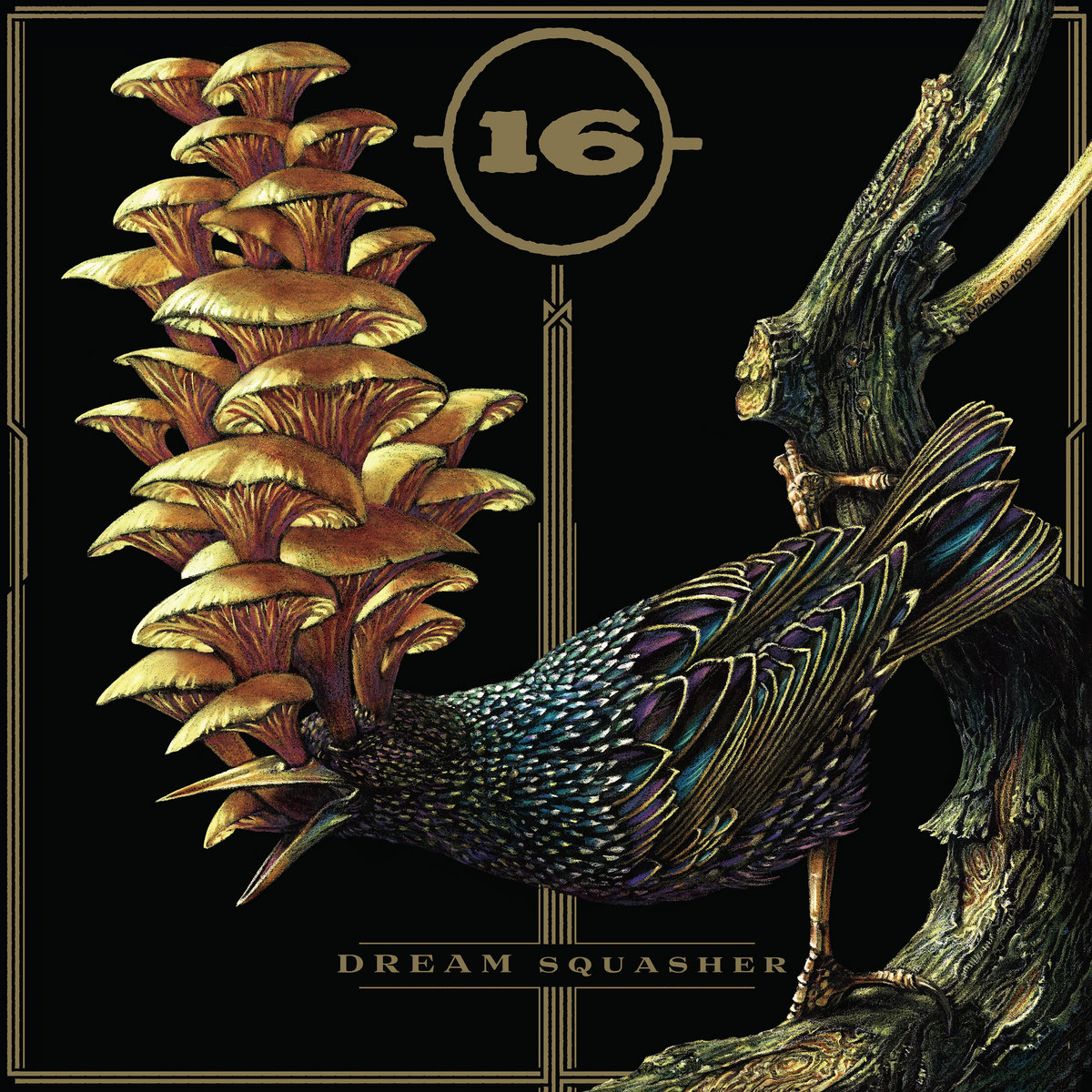 Album Review: -(16)- — Dream Squasher