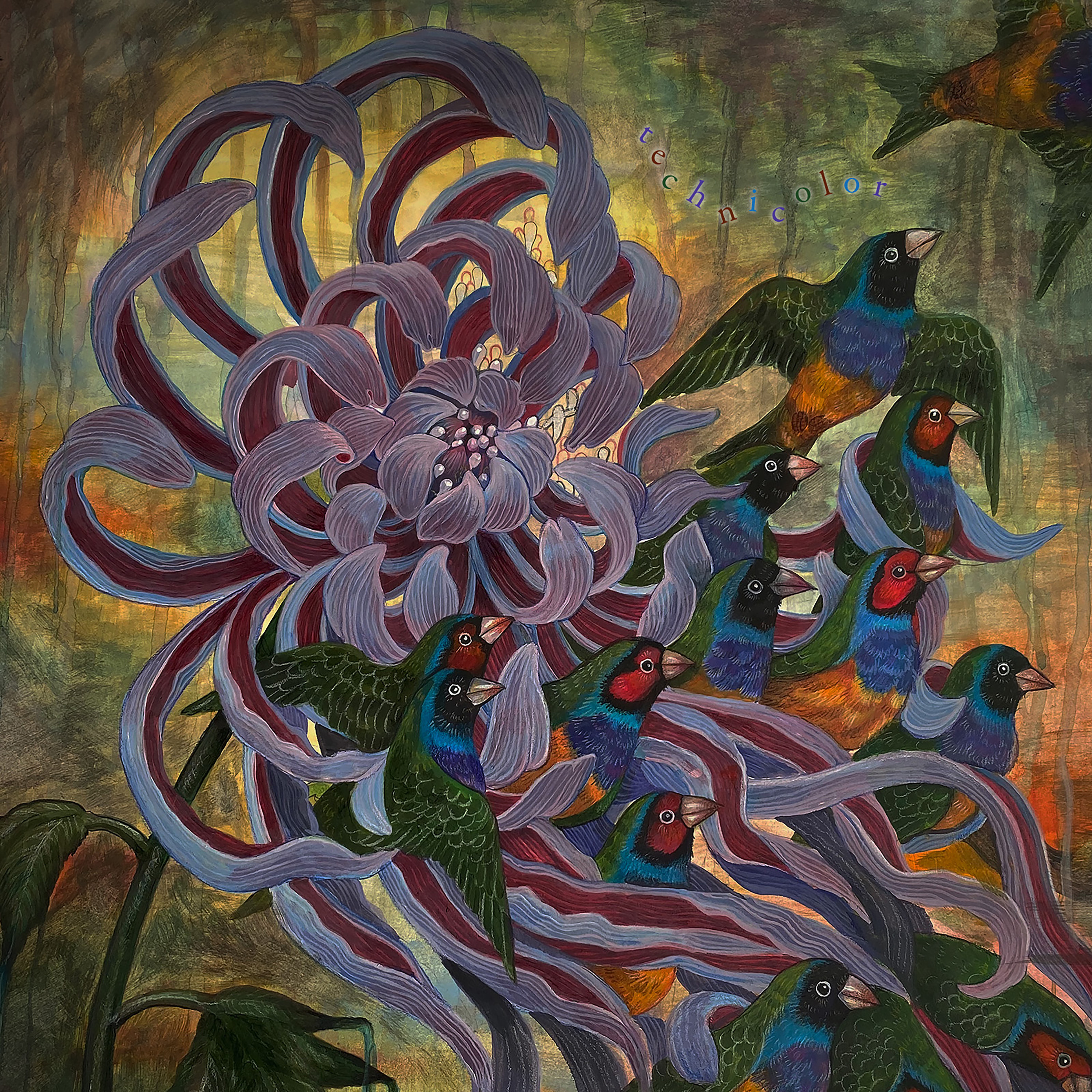 Album Review: Covet — technicolor