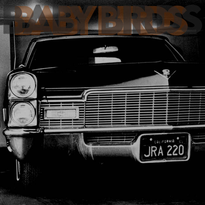 Rainbows in the Dark: Baby Birds — An Olive Branch Wrapped in Barbed Wire