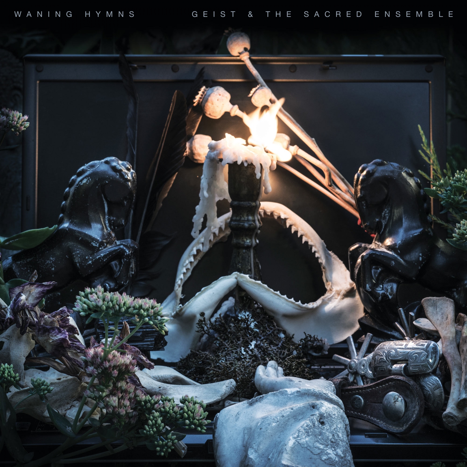 Album Review: Geist and the Sacred Ensemble — Waning Hymns