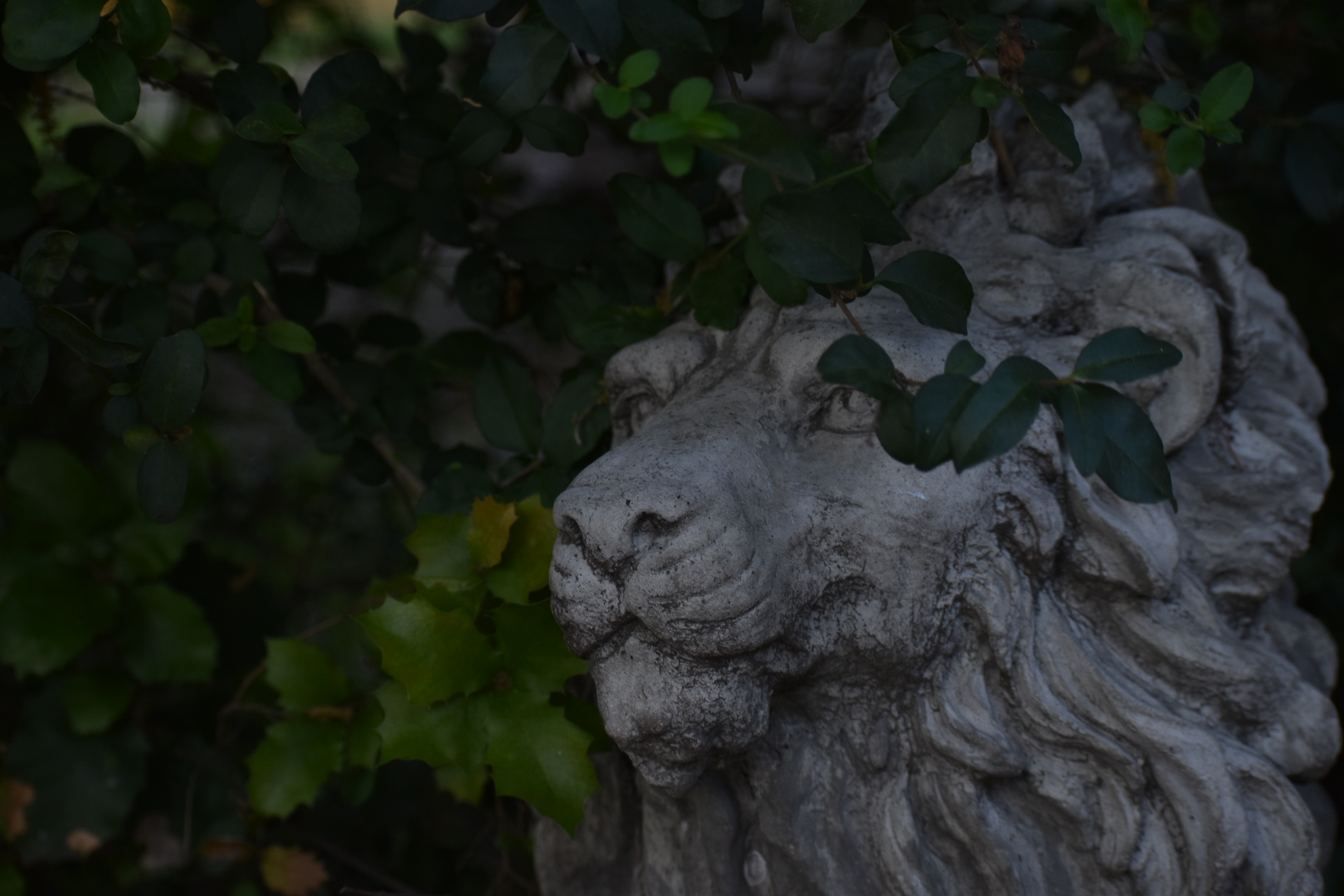 Nine Circles ov… Vincent’s Mid-Year Favorites