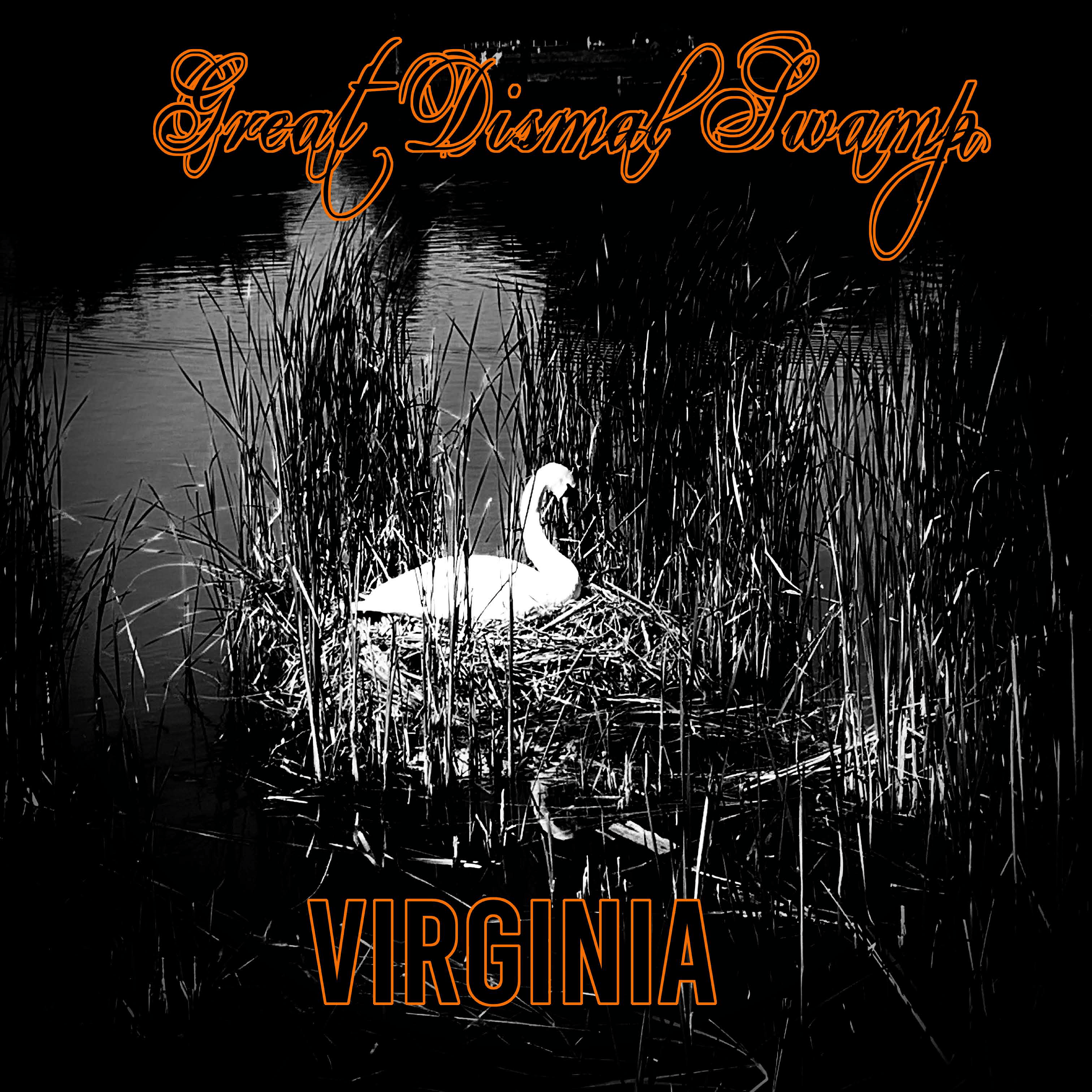 Rainbows in the Dark: Great Dismal Swamp — Virginia