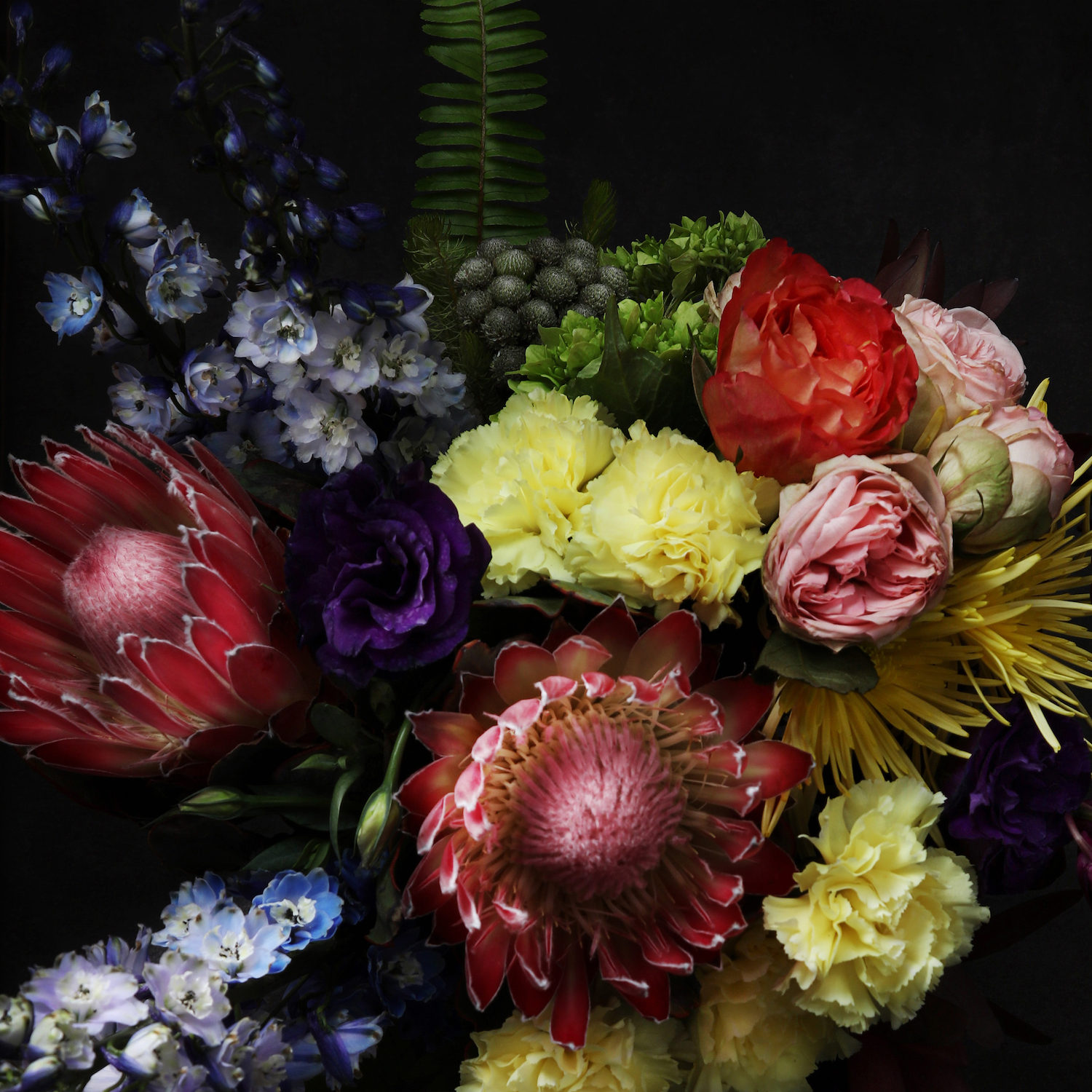 Rainbows in the Dark: Cold Cave — Fate in Seven Lessons