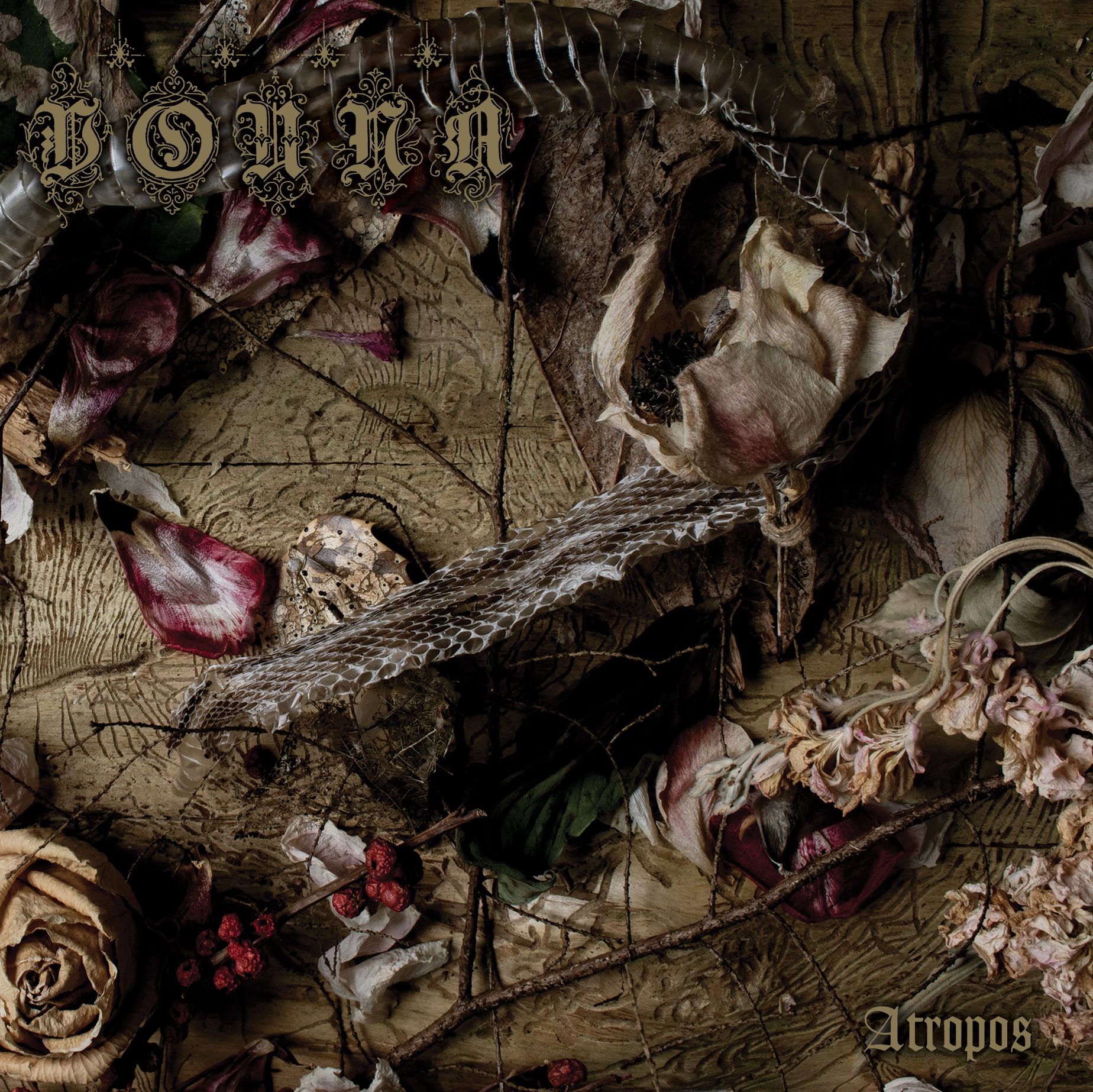 Album Review: Vouna — Atropos