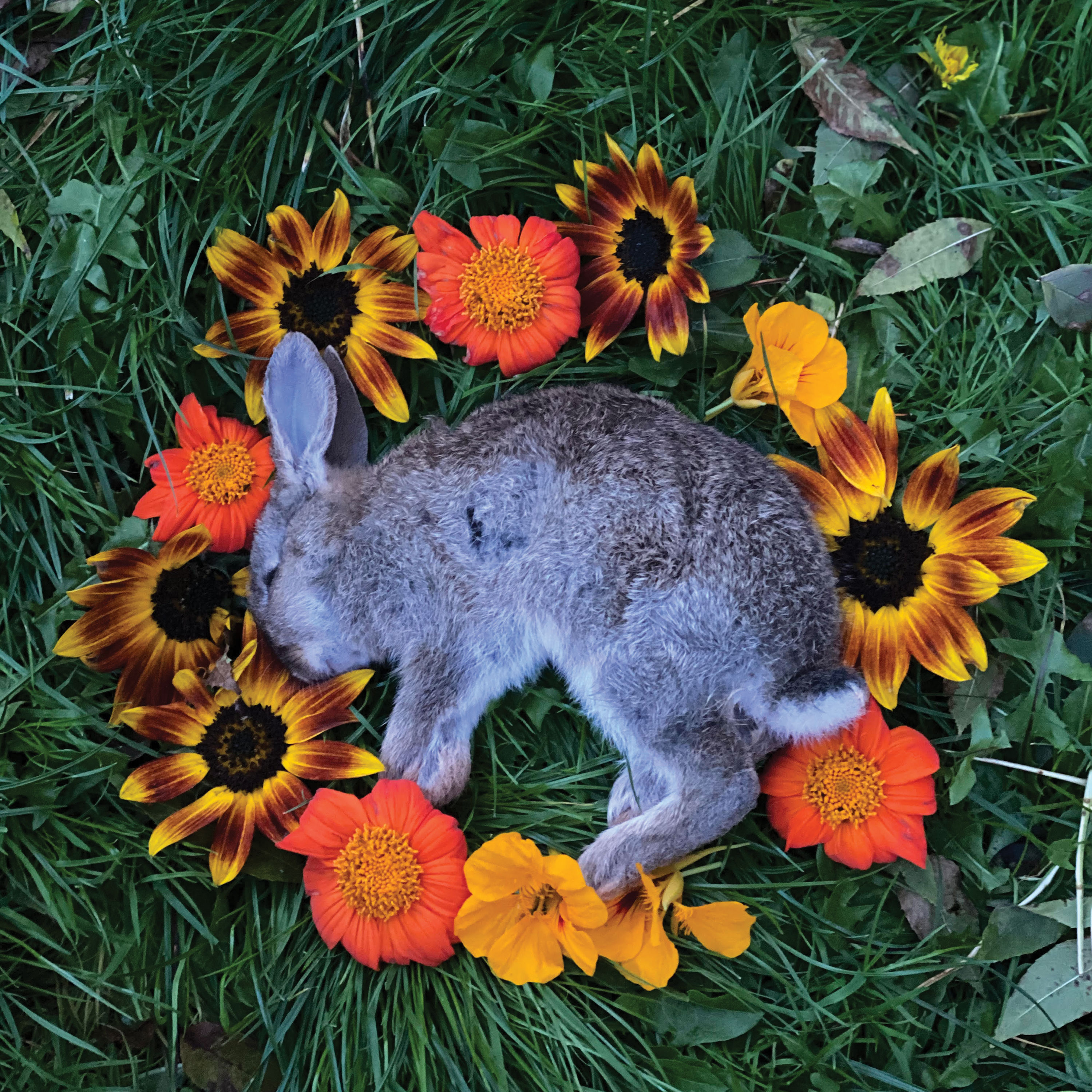 Album Review:  Monolord — Your Time to Shine