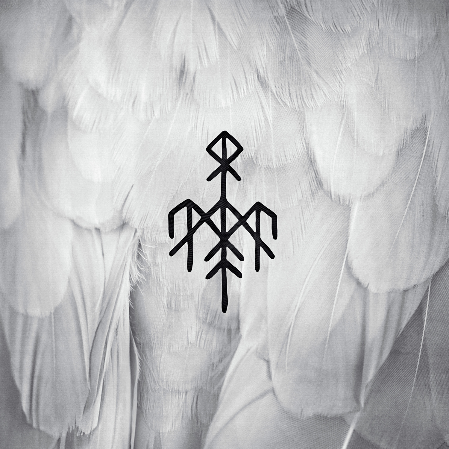 Rainbows in the Dark:  Wardruna — Kvitravn – First Flight of the White Raven