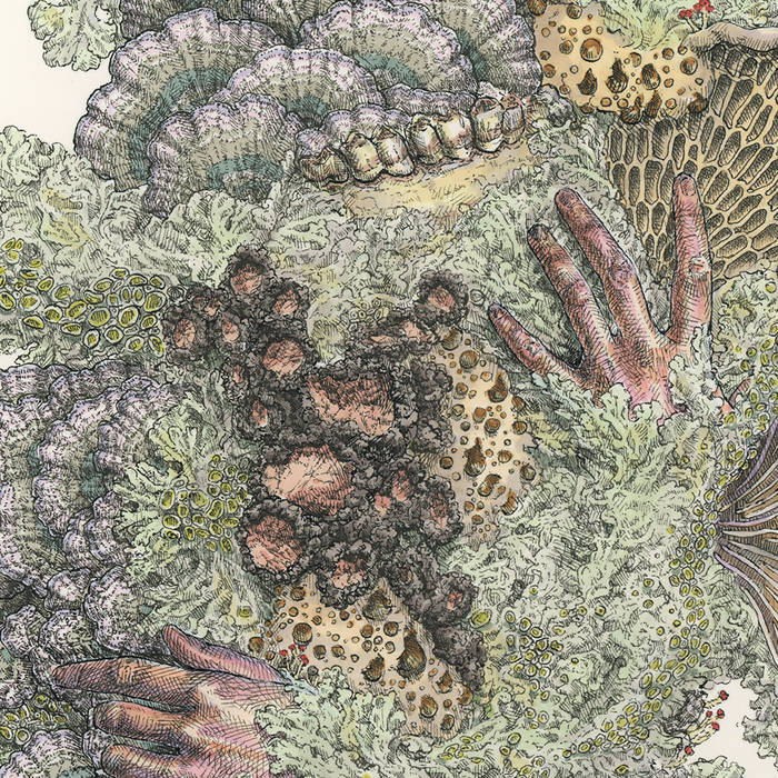 Album Review: Pyrithe — Monuments to Impermanence