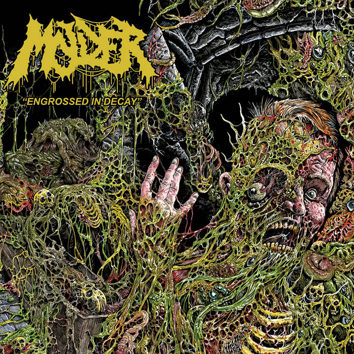 Album Review: Molder — Engrossed in Decay