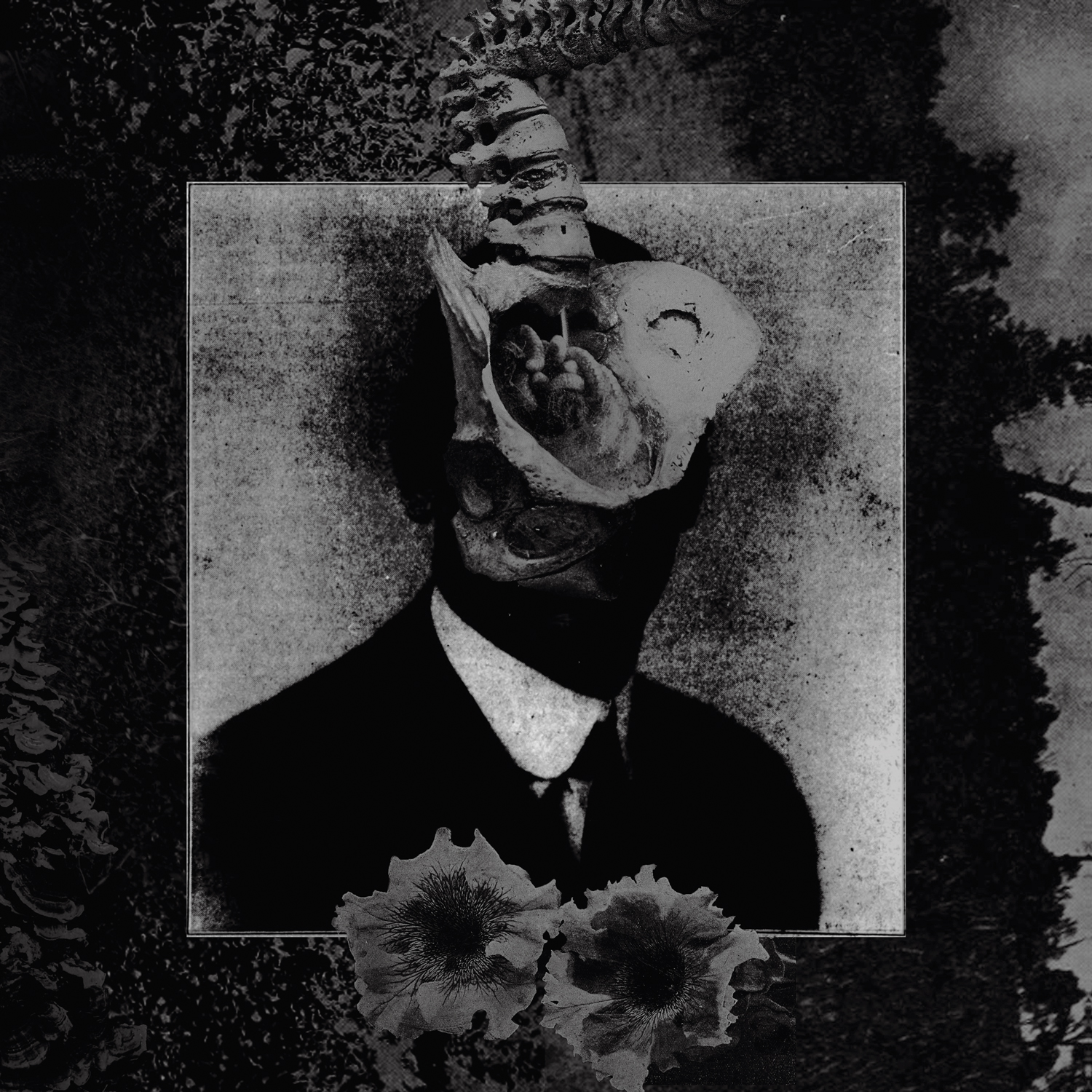 Album Review: Mord’A’Stigmata — Like Ants and Snakes