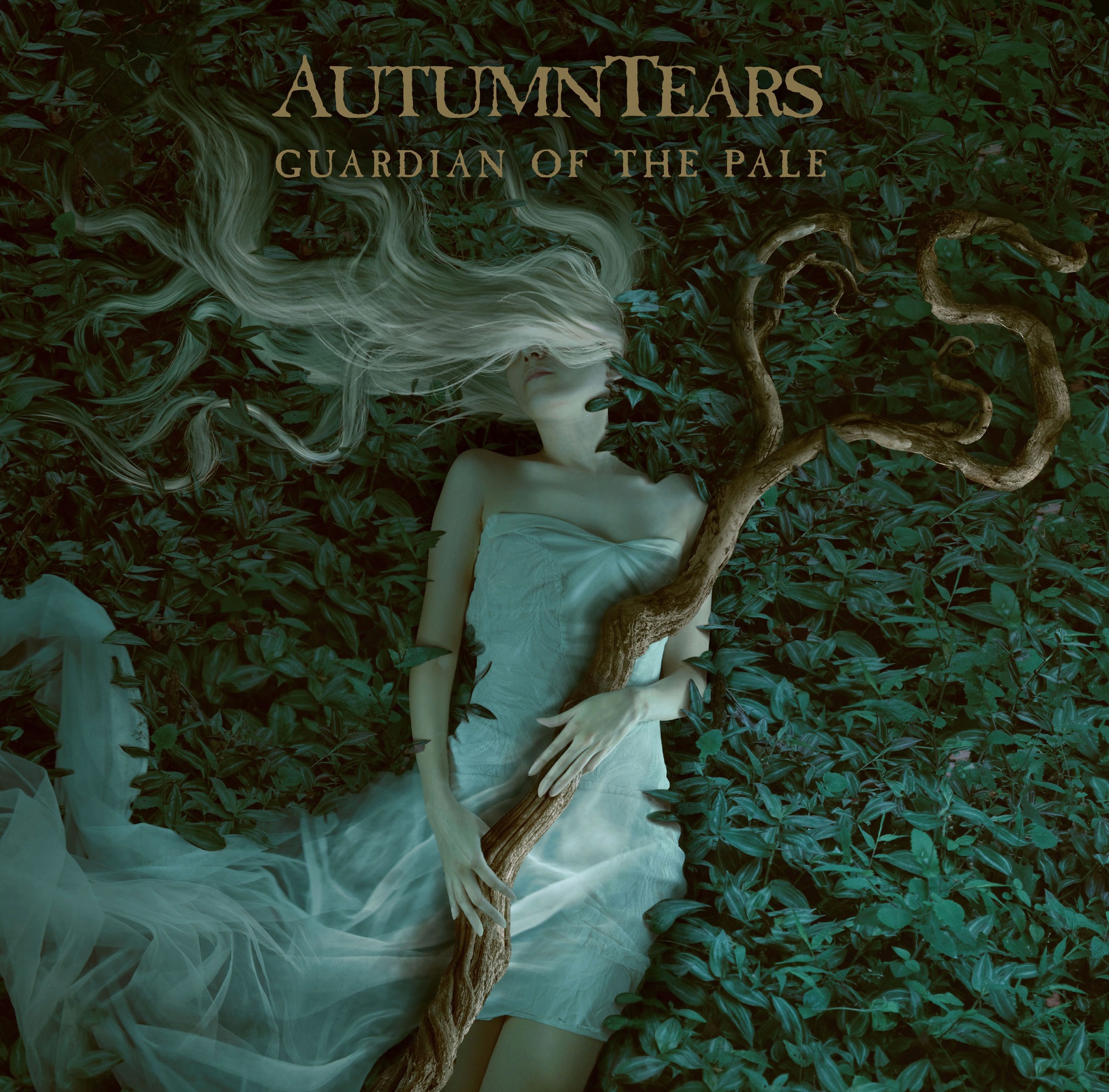 Video Premiere: Autumn Tears — “Of Wind, Water and Sand”