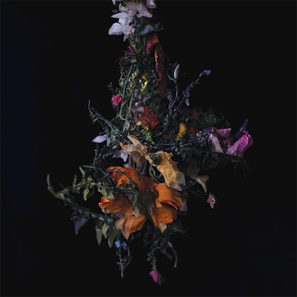 Album Review: BIG|BRAVE — nature morte