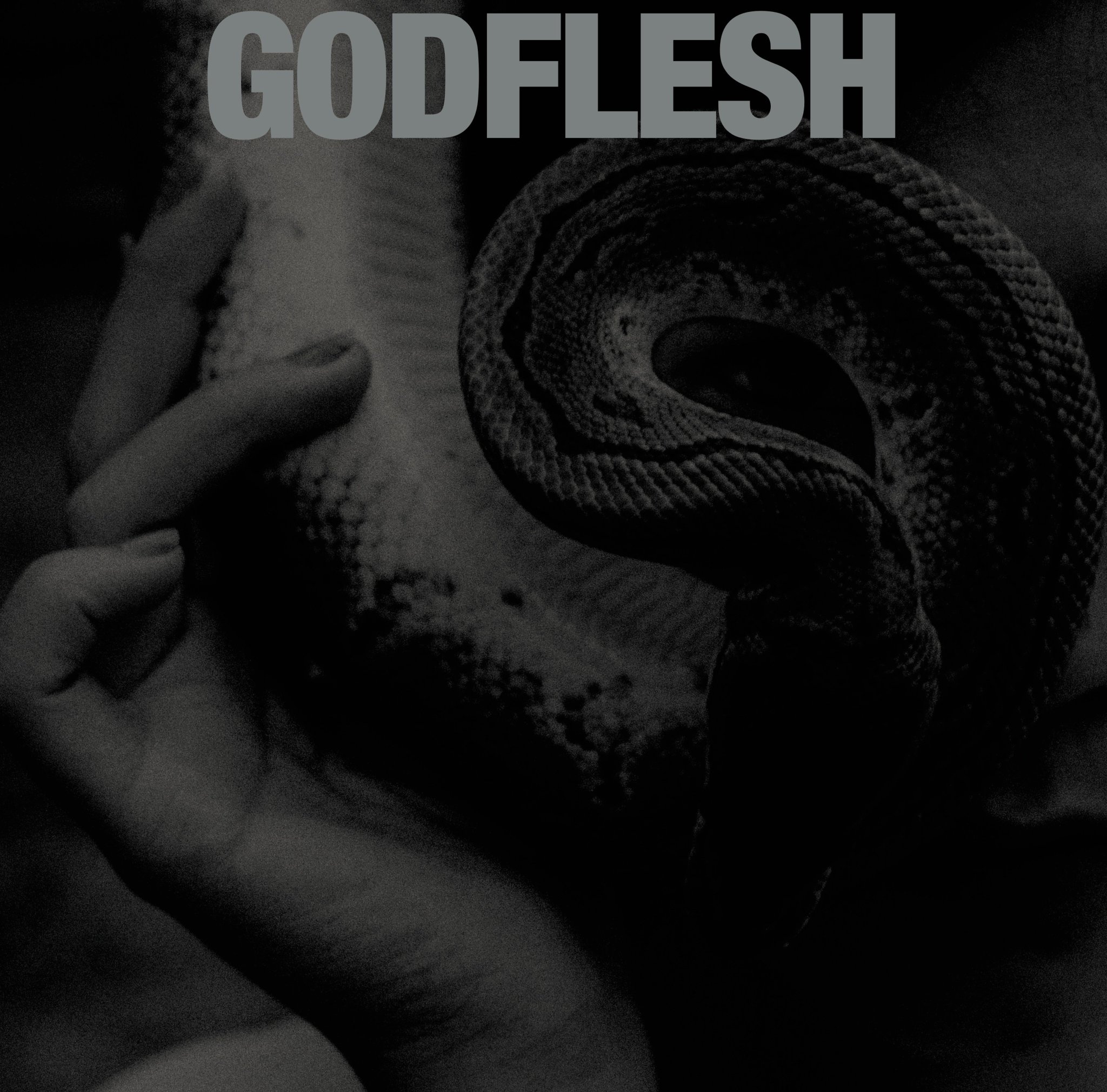 Album Review: Godflesh — Purge