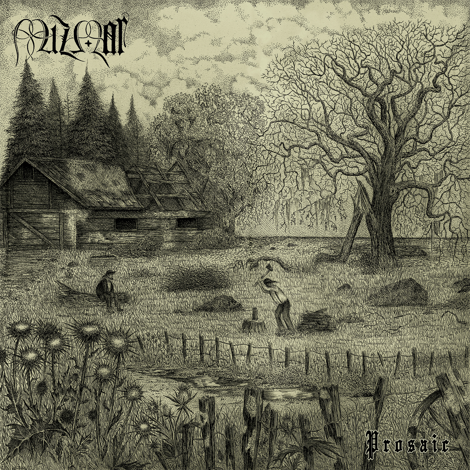 Album Review: Mizmor — Prosaic
