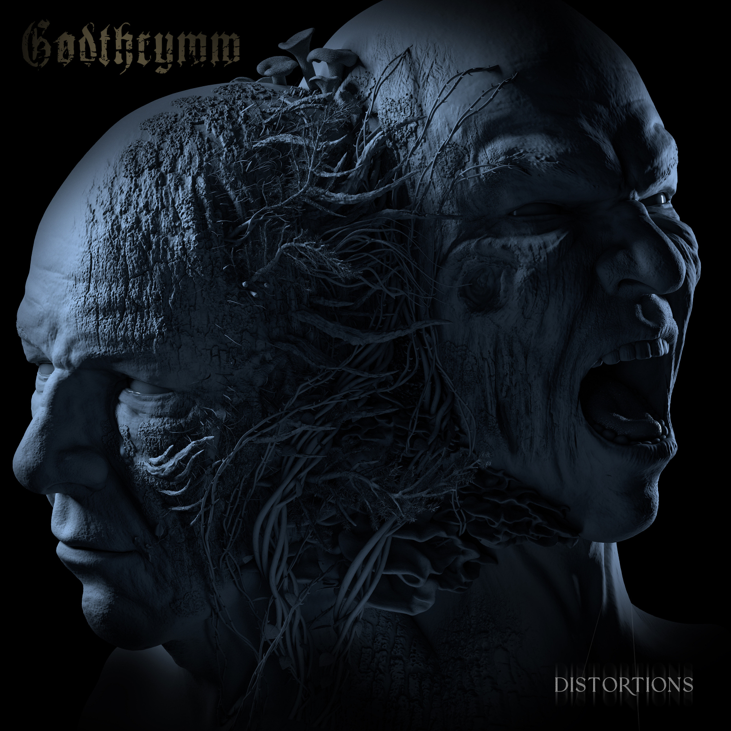 Album Review: Godthrymm — Distortions