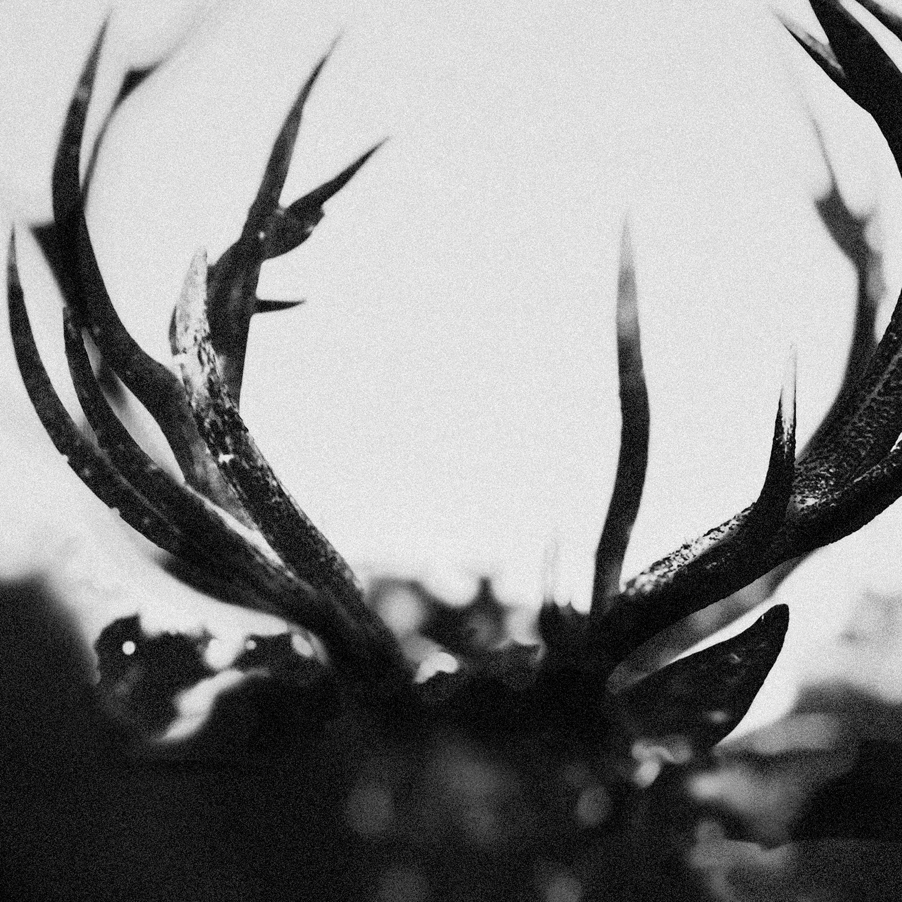 Album Review: Ihsahn — Ihsahn