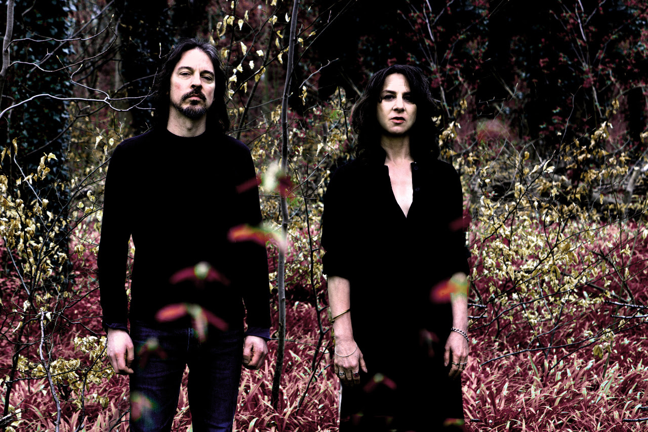 CANTO: 200 Stab Wounds, Alleviate, Insect Ark, and More