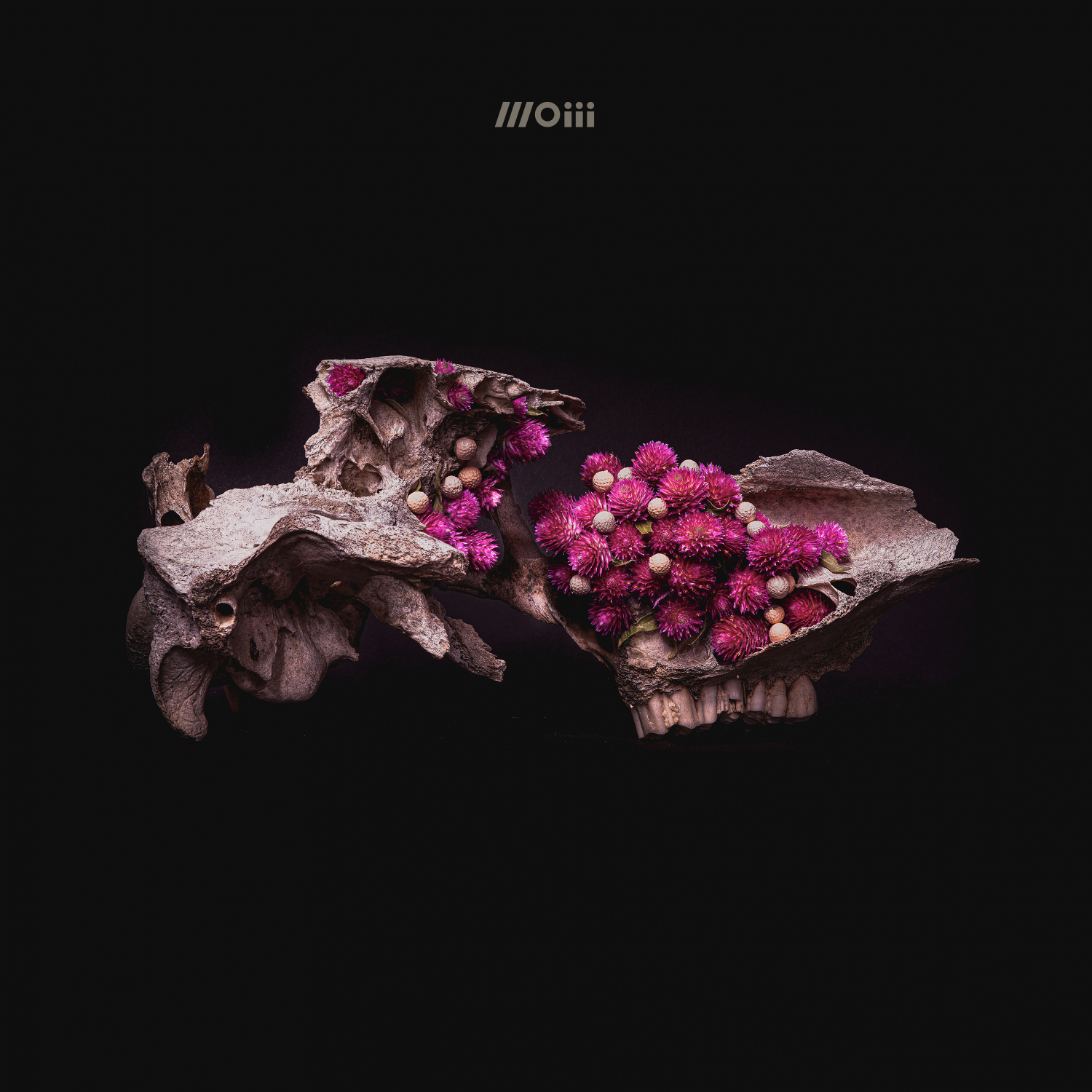 Album Premiere (and Profile): The debut from experimental electronic metal project MOIII