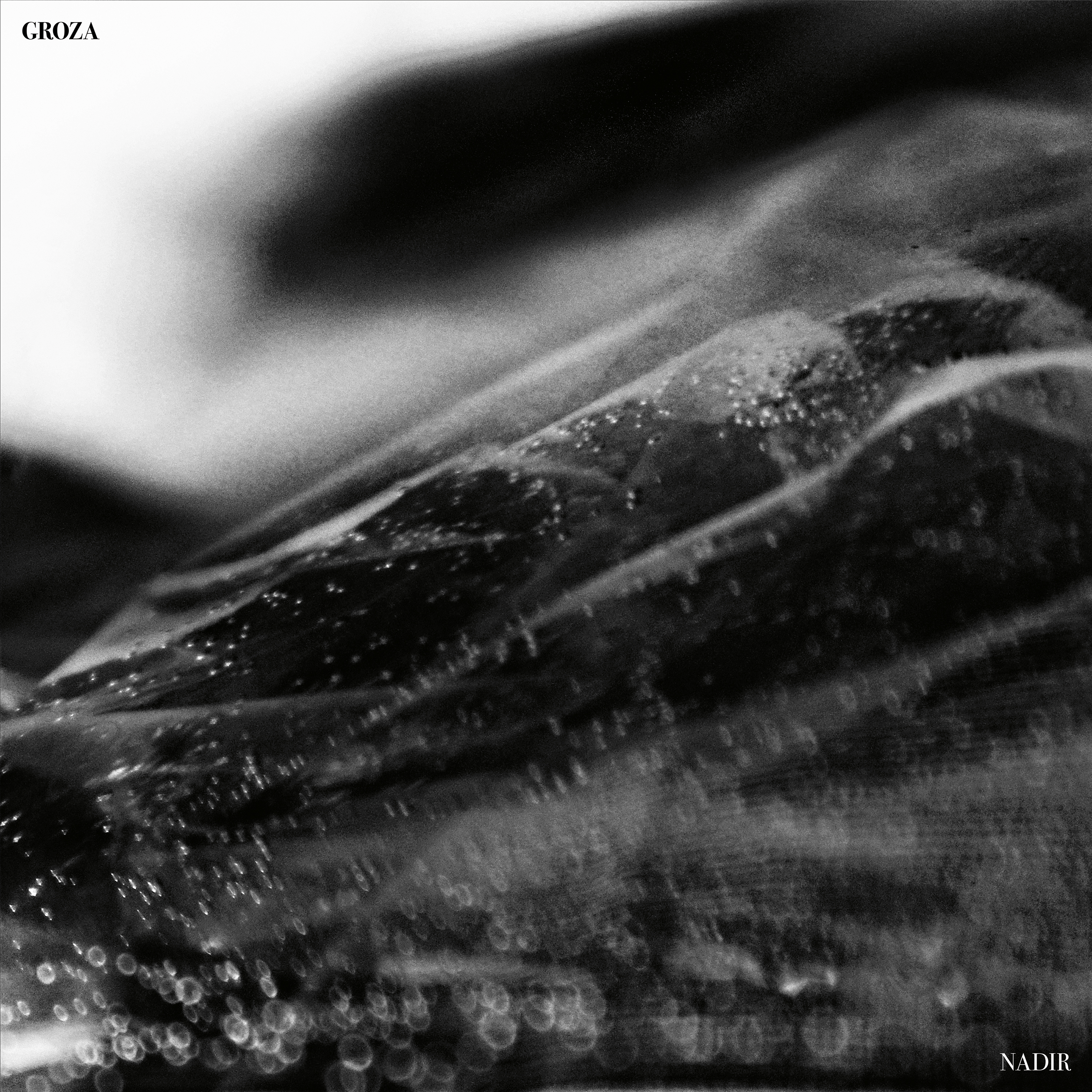 Album Review: Groza – Nadir