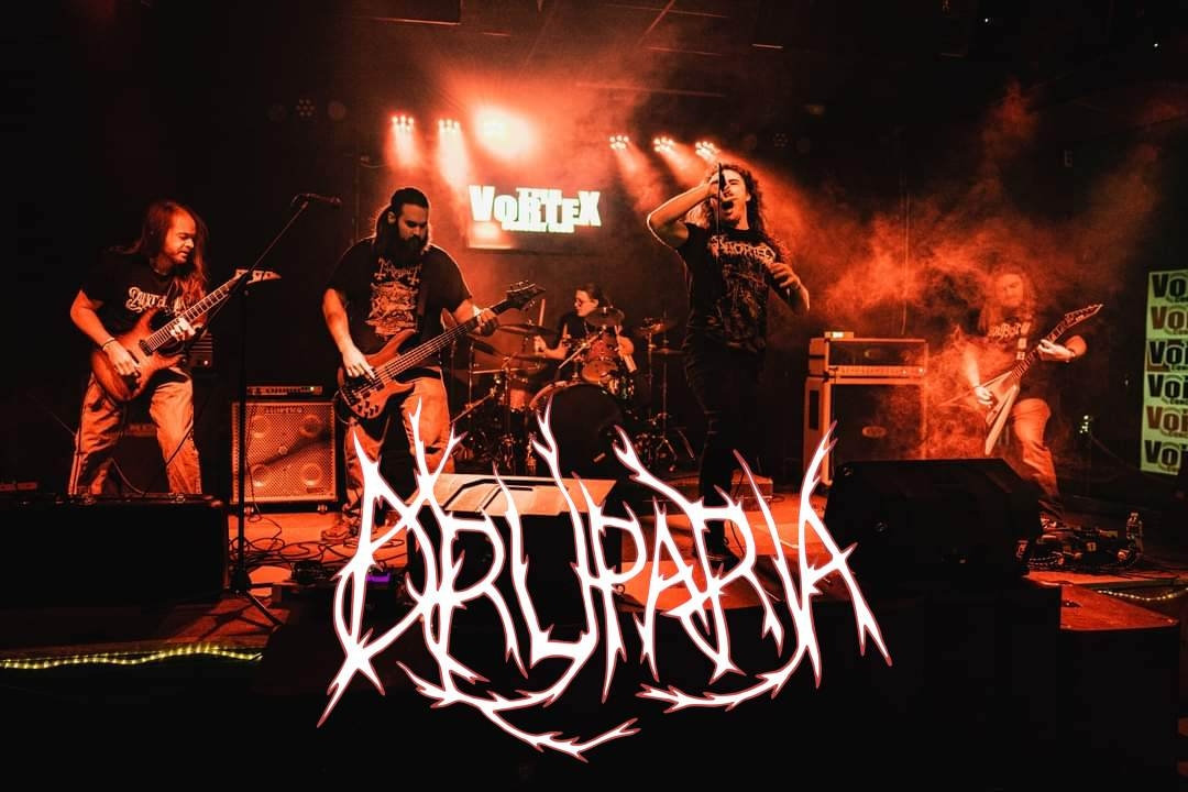 Initial Descent: December 23 – 29, 2024